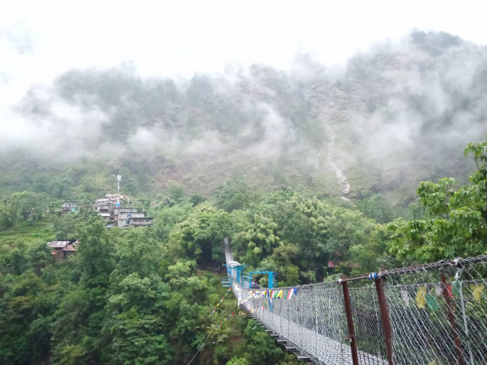 rondreis nepal, excursie bungee jump, the last resort, bungee hangbrug