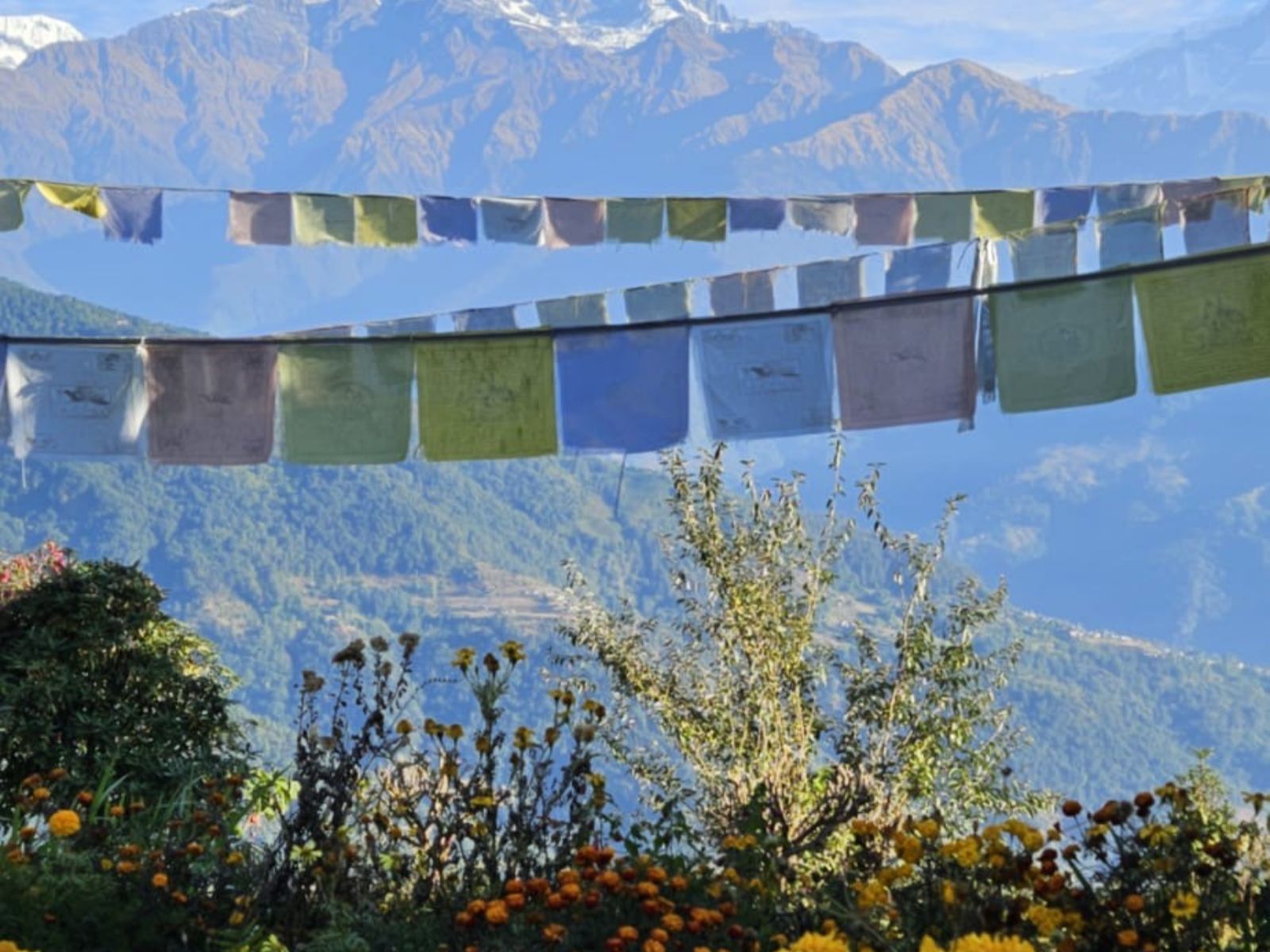 rondreis nepal, trekking lodges, uitzicht vanuit de lodge