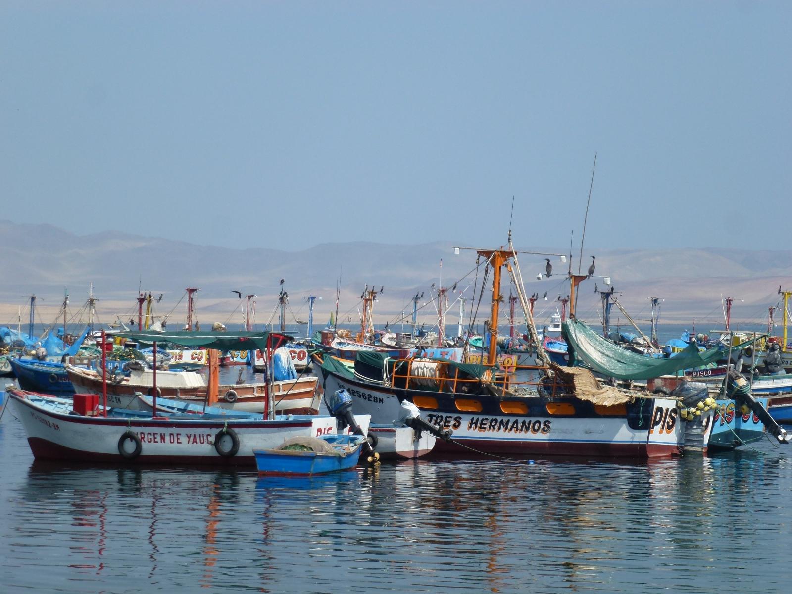rondreis peru - paracas en ballestas eilanden - haven