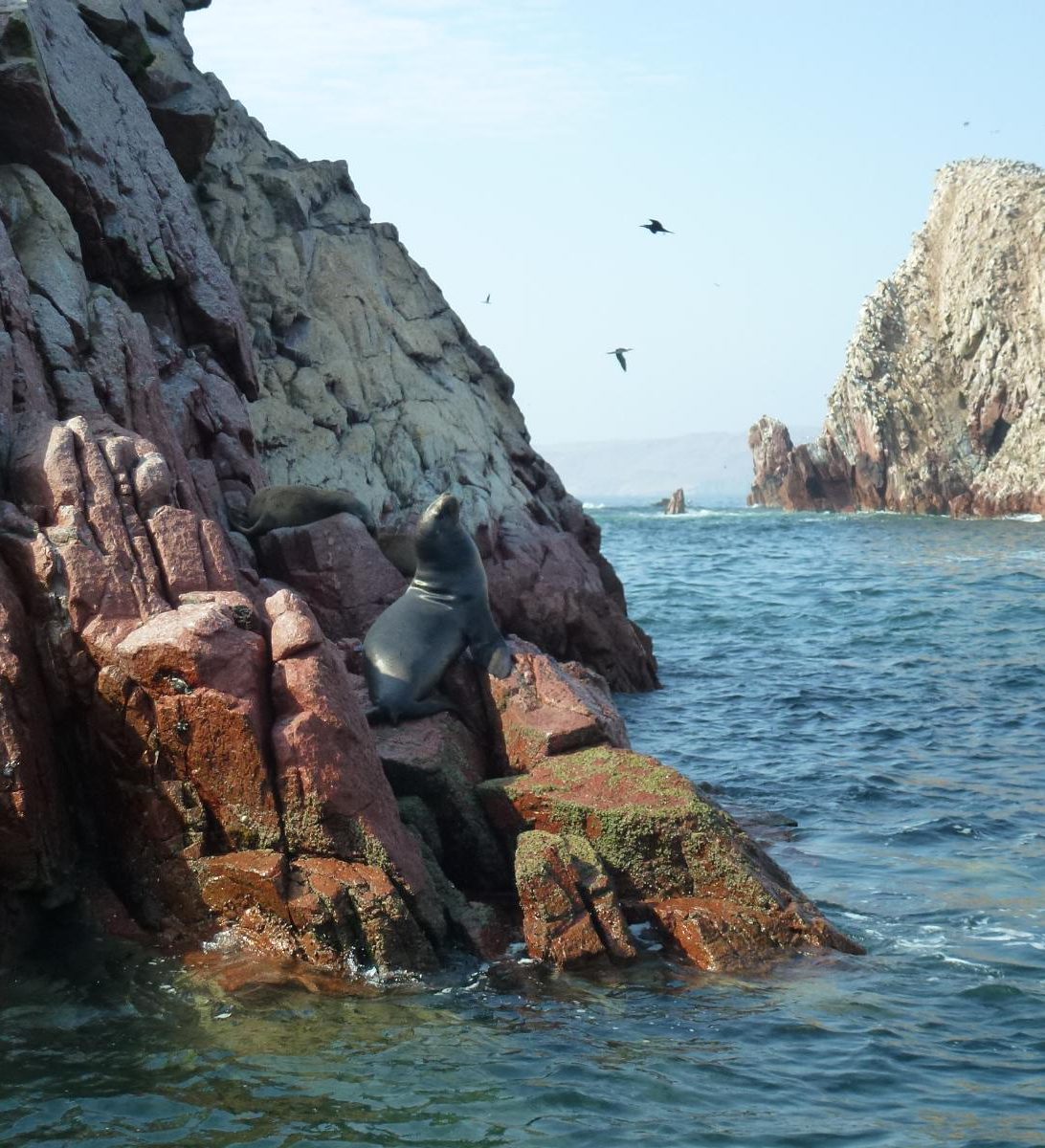 rondreis peru - paracas en ballestas eilanden - water en rotsen