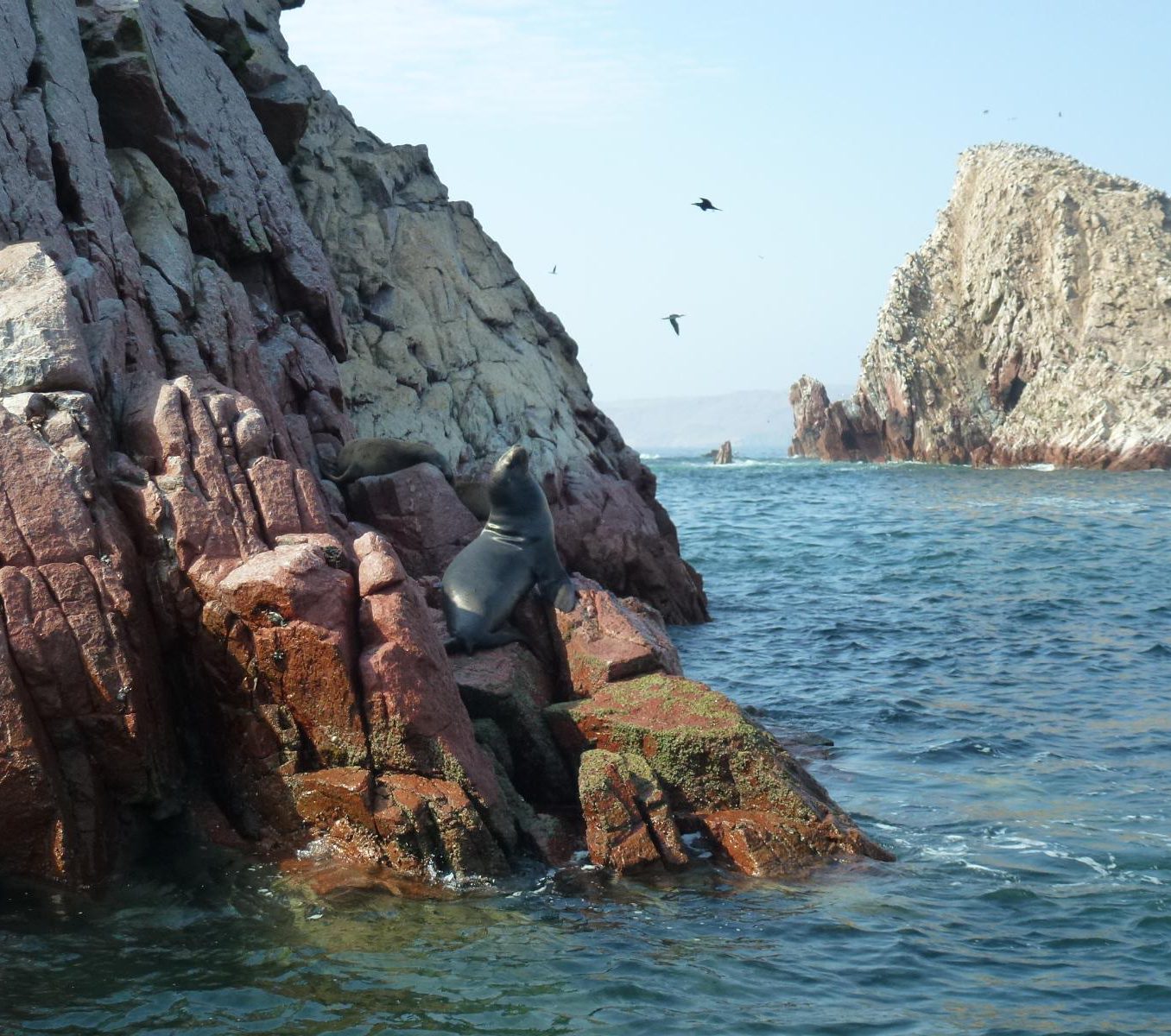 rondreis peru - paracas en ballestas eilanden - water en rotsen
