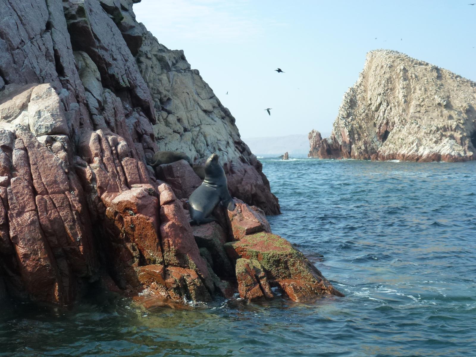 rondreis peru - paracas en ballestas eilanden - water en rotsen