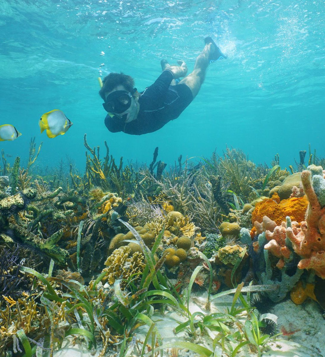 Rondreis Panama, Azuero, Iguana-eiland snorkelen en strand, snorkelaar
