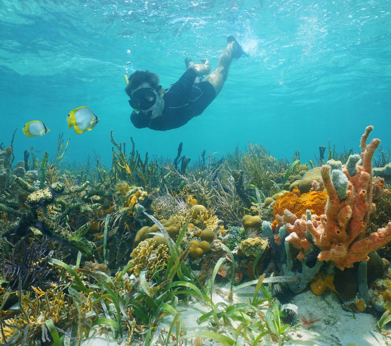 Rondreis Panama, Azuero, Iguana-eiland snorkelen en strand, snorkelaar