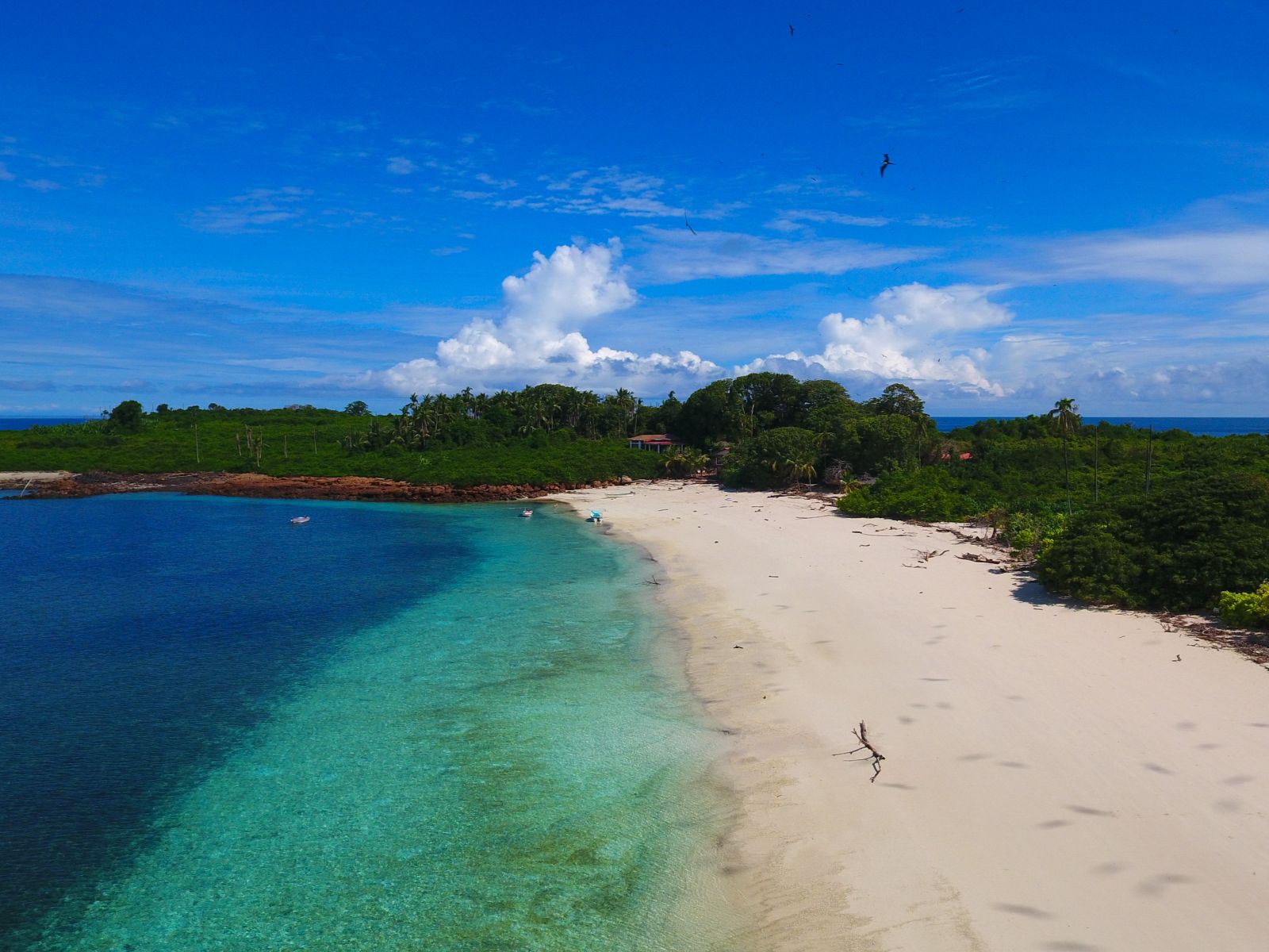 Rondreis Panama, Azuero, Iguana-eiland snorkelen en strand, strand van het eiland