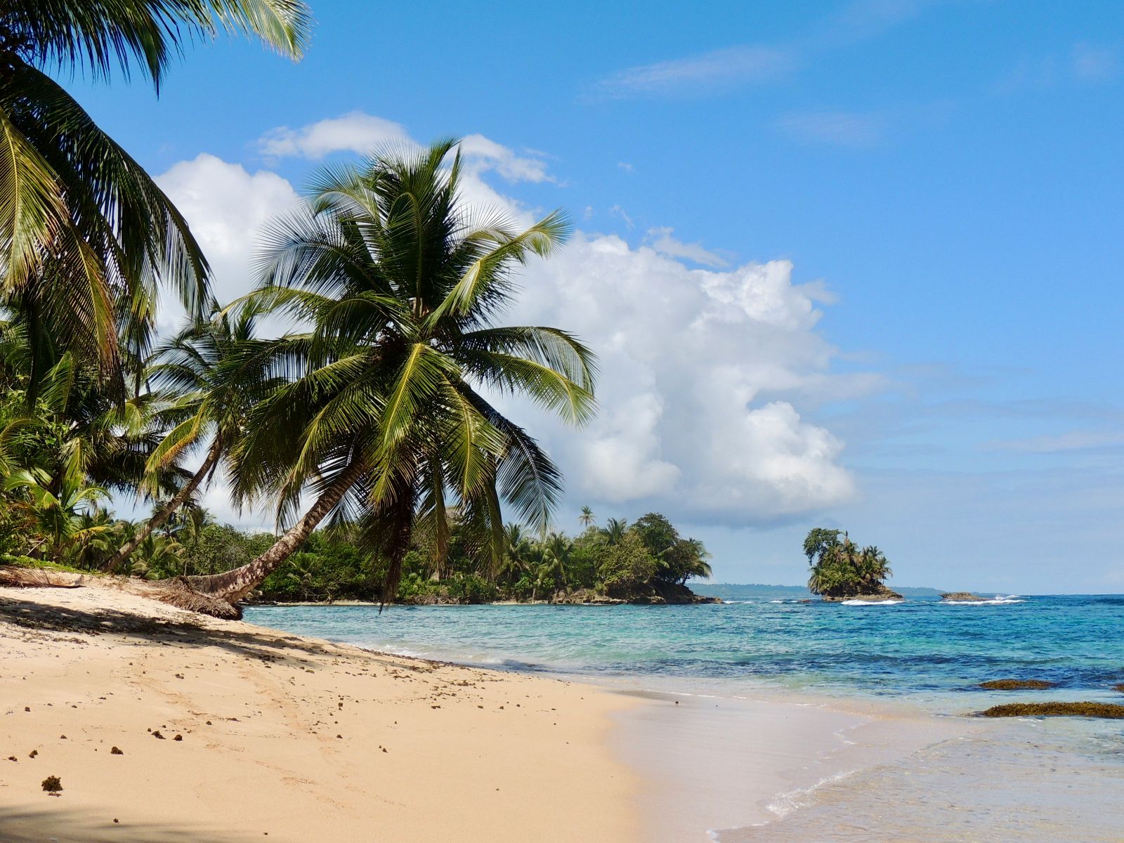 Rondreis Panama, Bocas del Toro, Boottocht Bocas del Toro - Ngove Village bij Salt Creek, strand bij Bocas del Toro