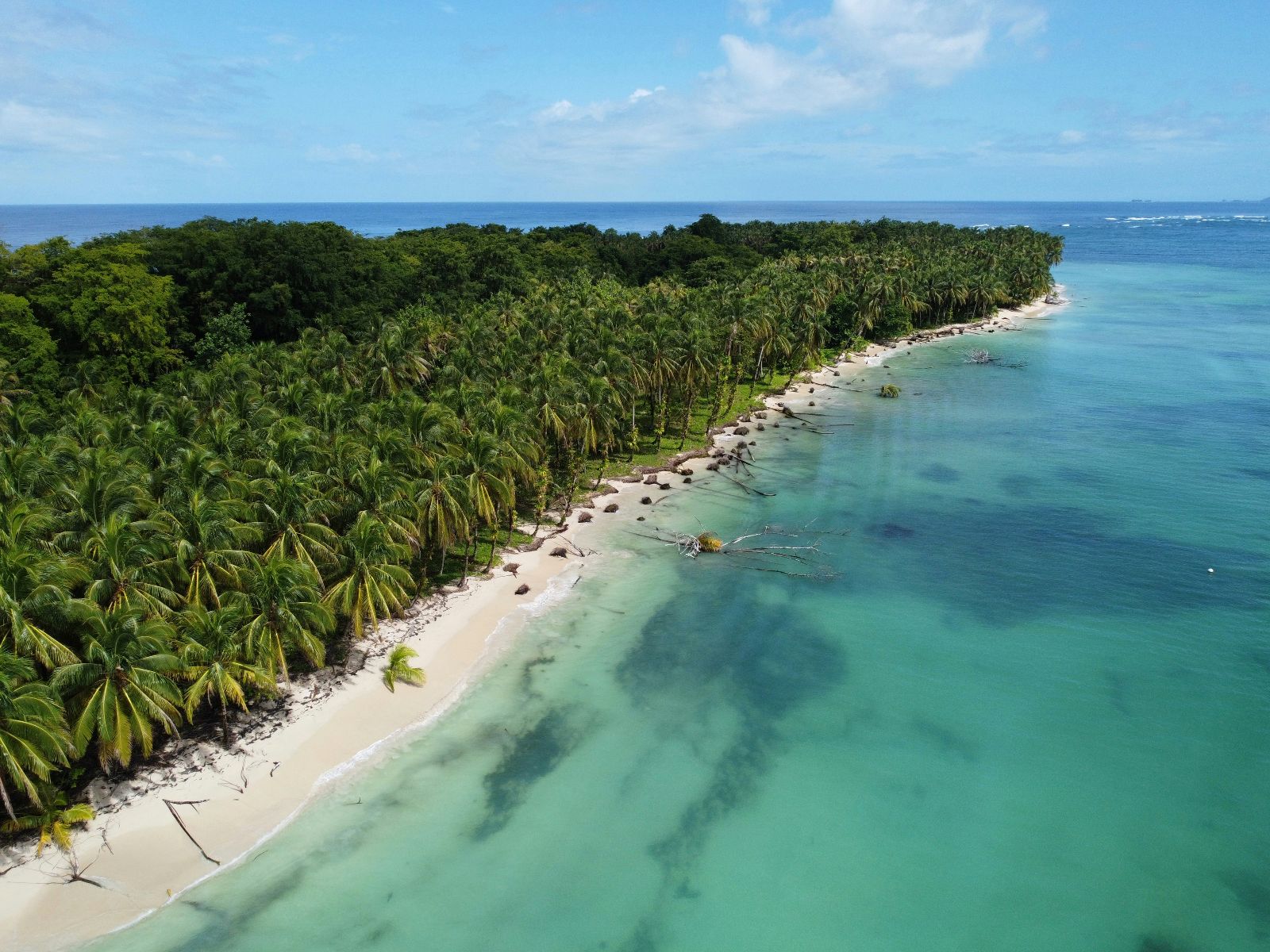 Rondreis Panama, Bocas del Toro, Boottocht Bocas del Toro - Ngove Village bij Salt Creek, strand van Bastimentos island