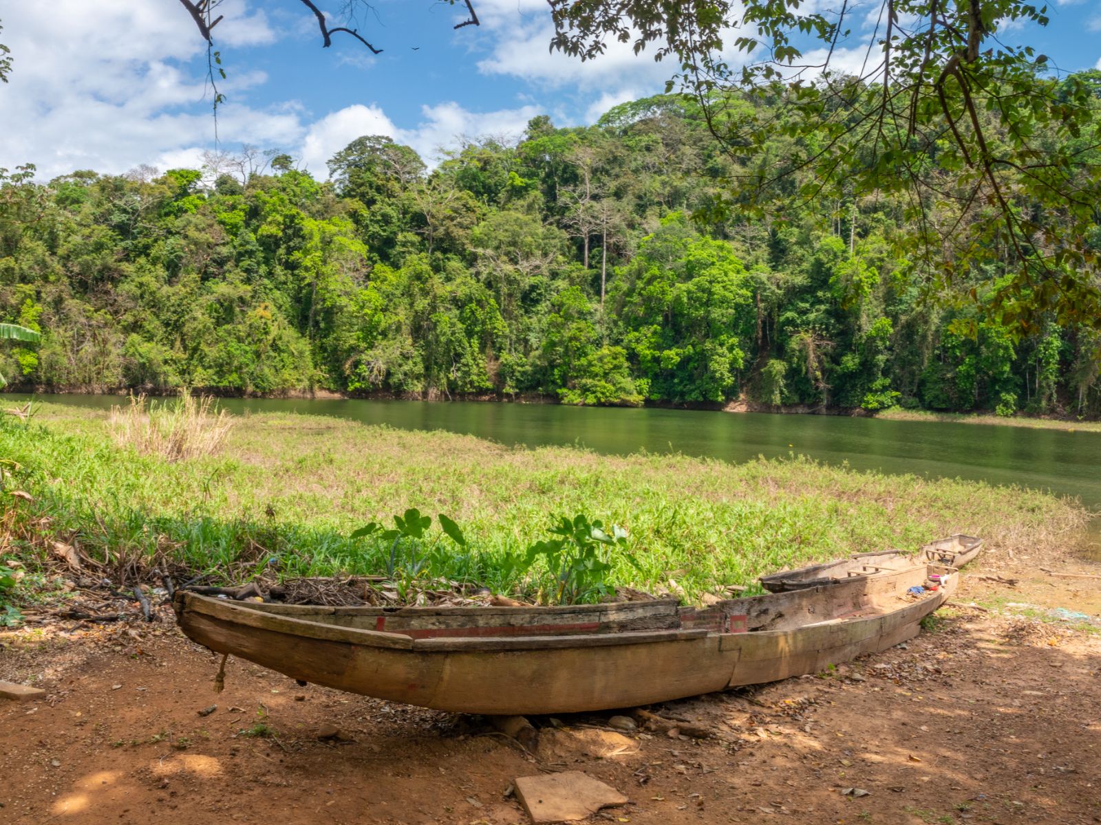 Rondreis Panama, Panama-Stad, excursie Chagres National Park en Embera-indianen, Chagres NP