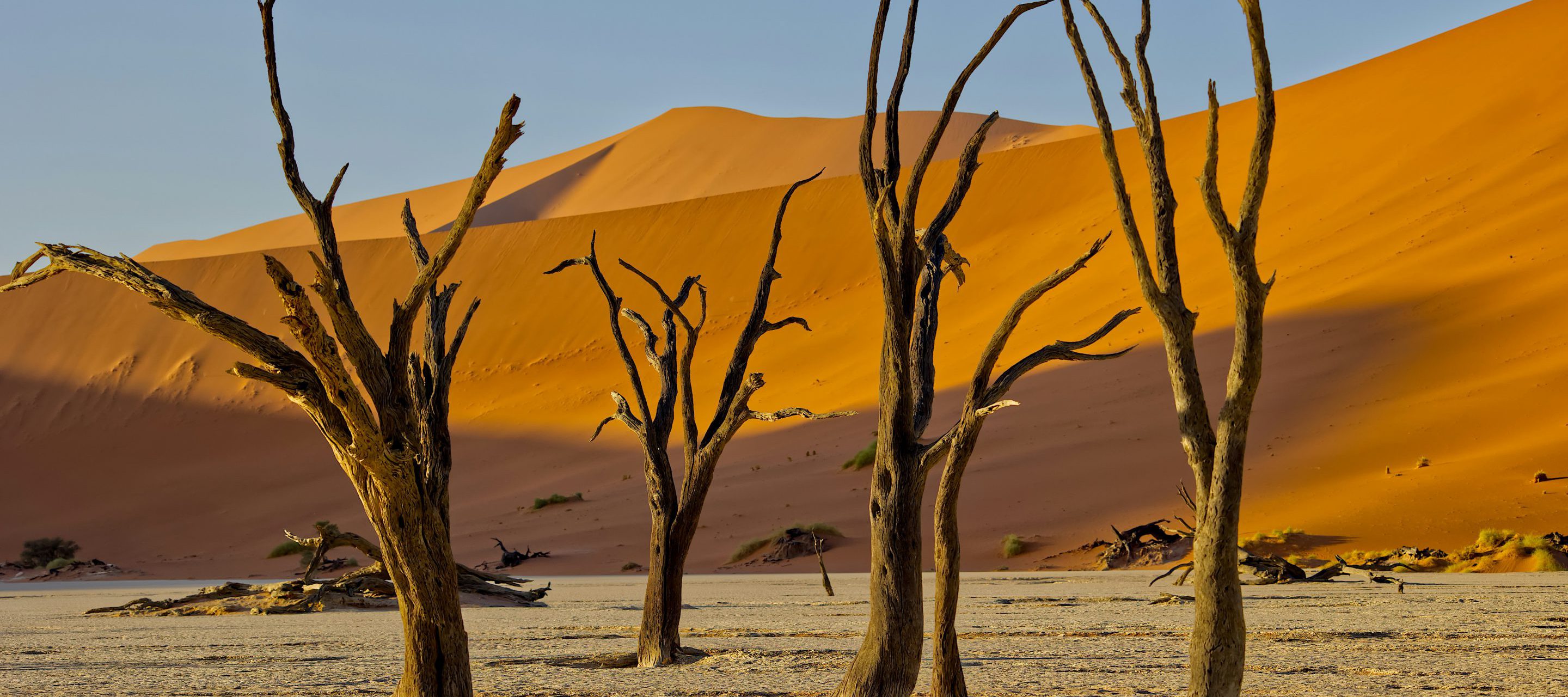 Rondreis-Namibie-Deadvlei-versteende-bomen-op-witte-vlakte