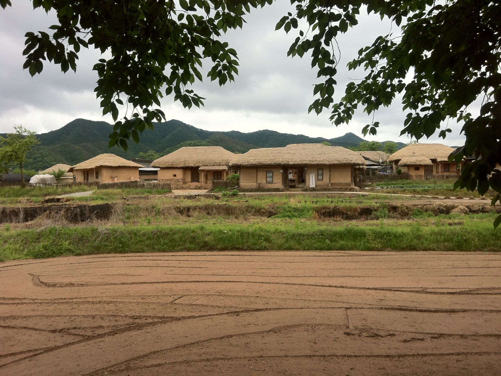 Rondreis Zuid-Korea, Andong, Hahoe Village met traditionele hanok huizen en landbouw