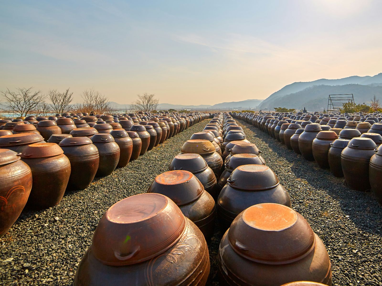 Rondreis Zuid-Korea, Andong, Traditionele potten voor het maken van soy bean paste