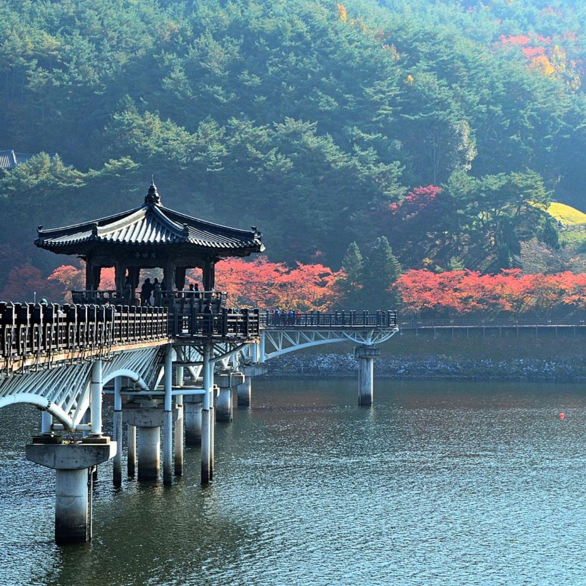 Rondreis Zuid-Korea, Andong, brug