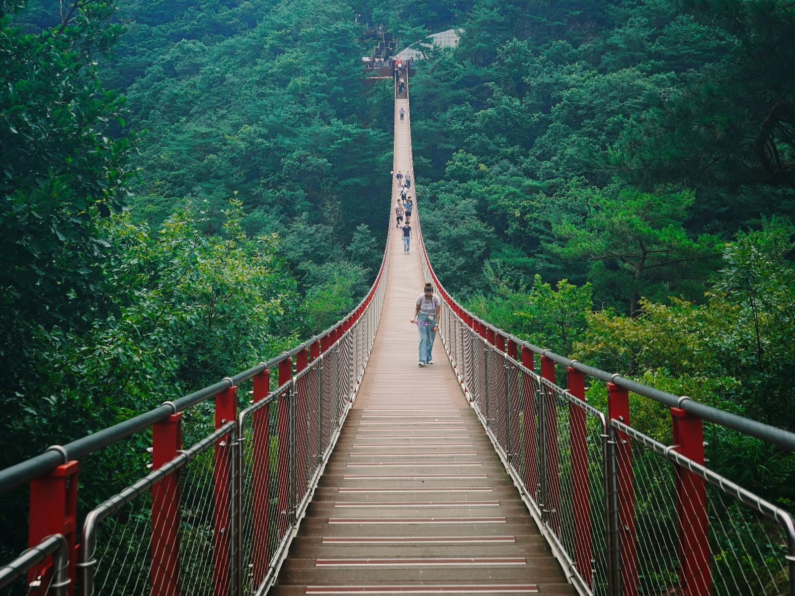 Rondreis Zuid-Korea, DMZ Demilitarized Zone, brug