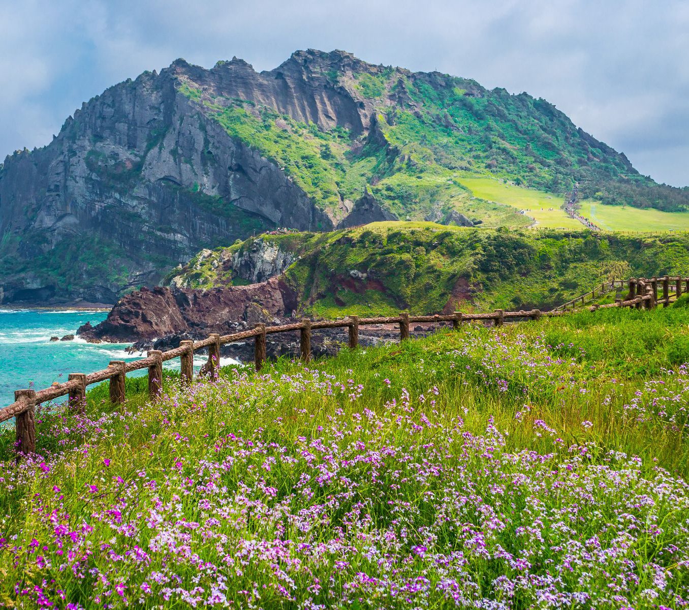 Rondreis Zuid-Korea, Jeju Island, bloesem, iStock
