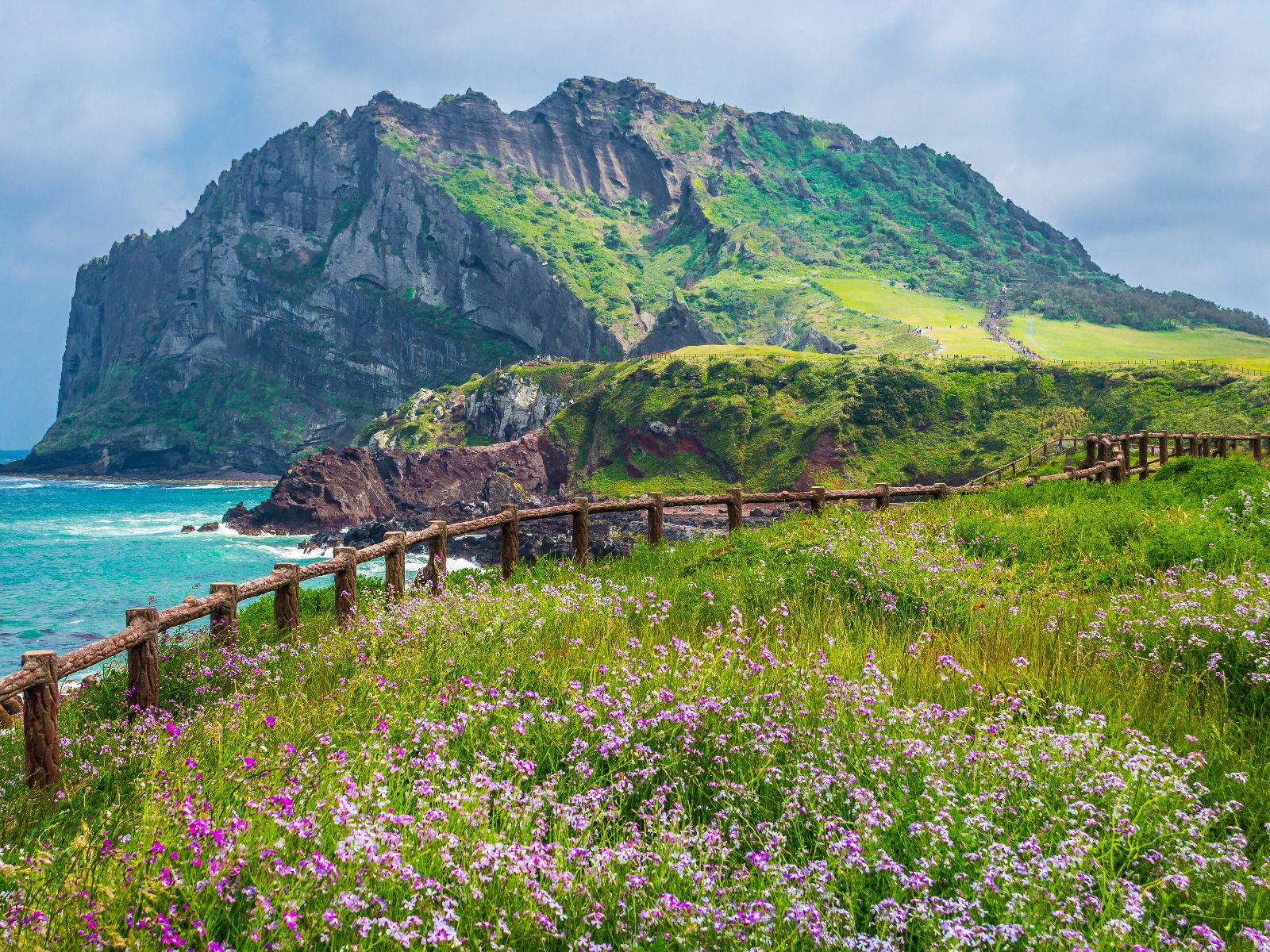 Rondreis Zuid-Korea, Jeju Island, bloesem, iStock