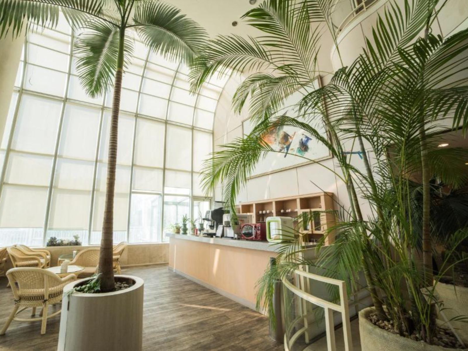 Rondreis Zuid-Korea, Jeju-eiland, Bloom hotel, Café