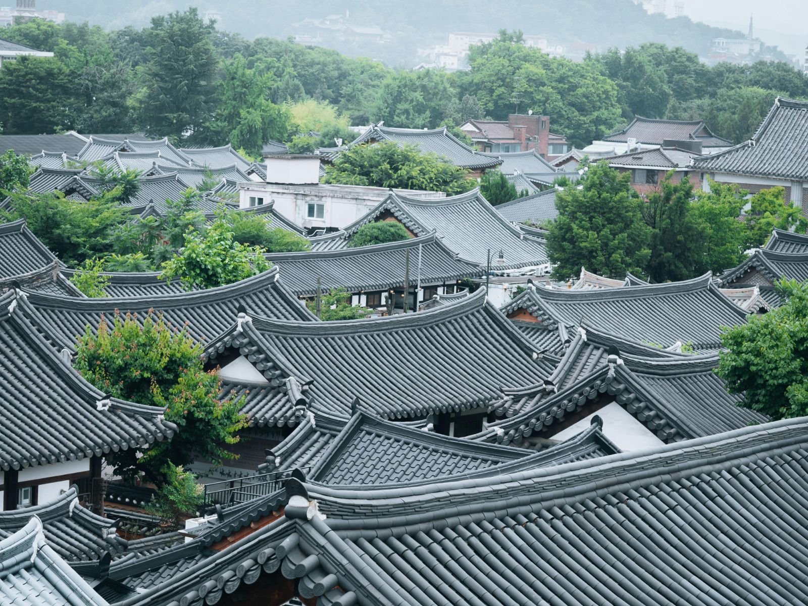 Rondreis Zuid-Korea, Jeonju, Traditionele huizen bovenaanzicht