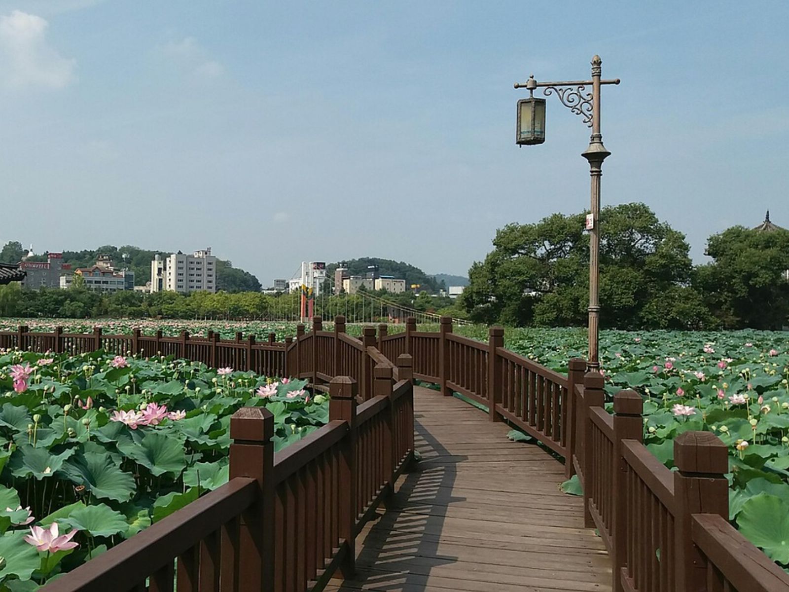 Rondreis Zuid-Korea, Jeonju, park