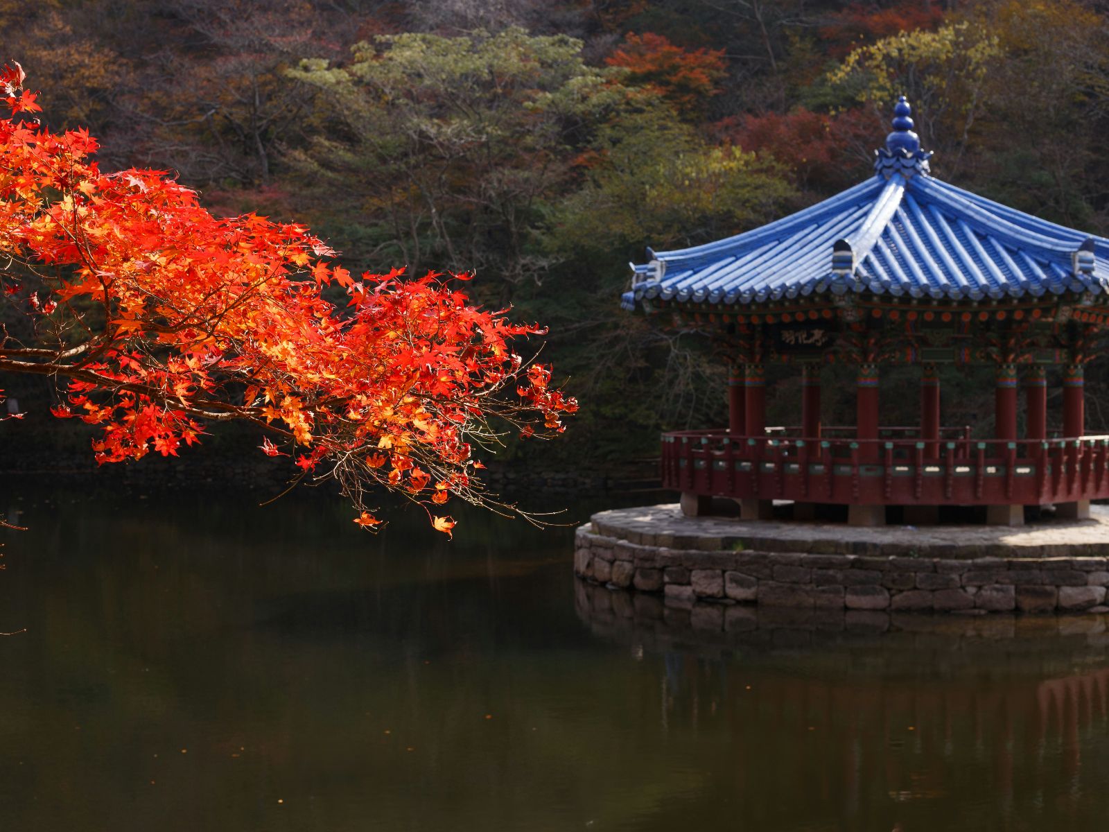 Rondreis Zuid-Korea, Naejangsan National Park, tempels tussen met rode esdoorn