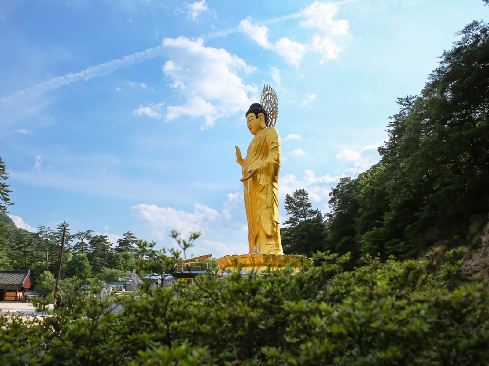 Rondreis Zuid-Korea, Songnisan National Park, Beopjusa Tempel, gouden boeddha