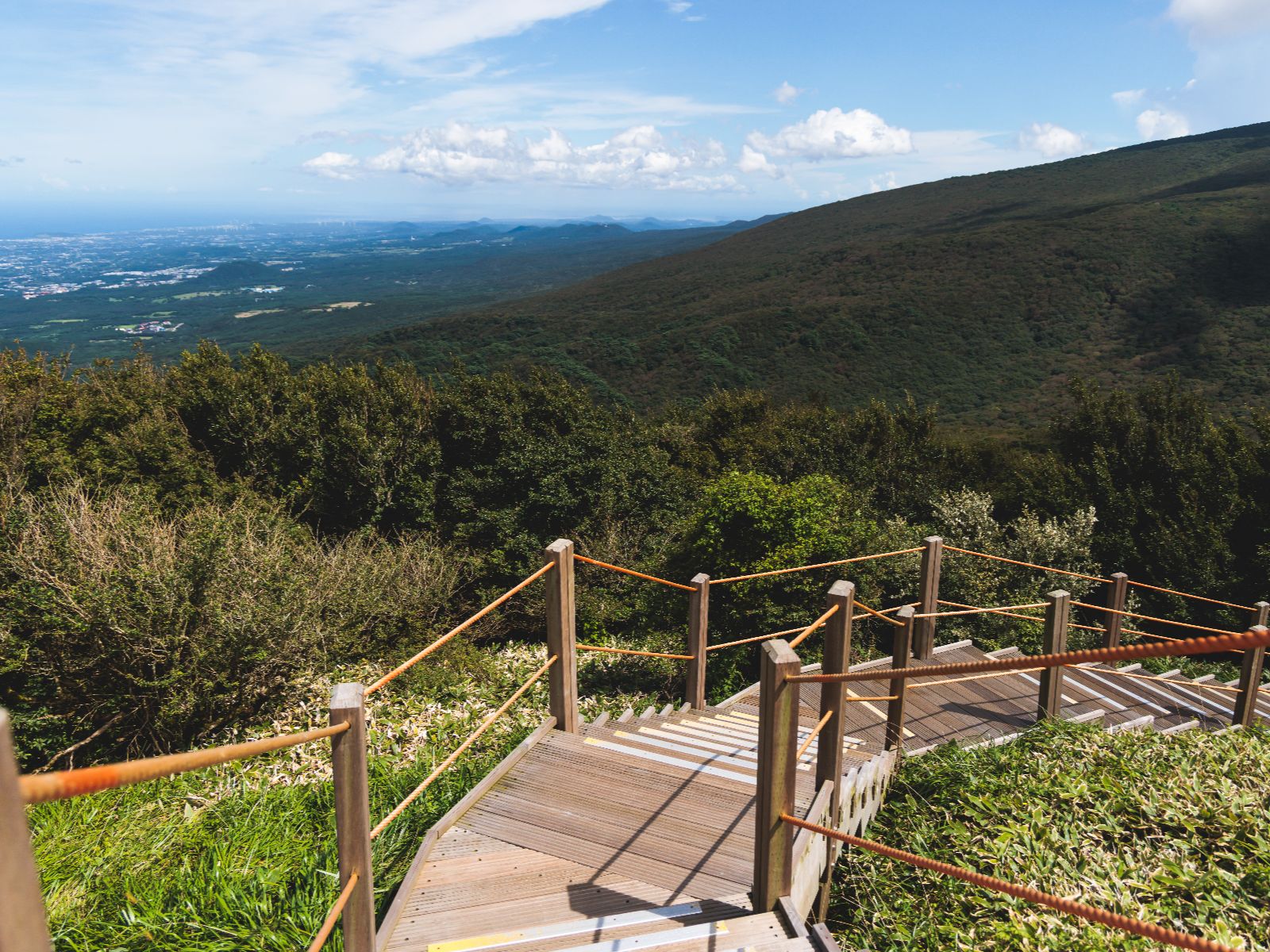 Rondreis Zuid-Korea, excursie Jeju Island westkust, Hallasan National Park, vlonderpad met begroeiing rondom