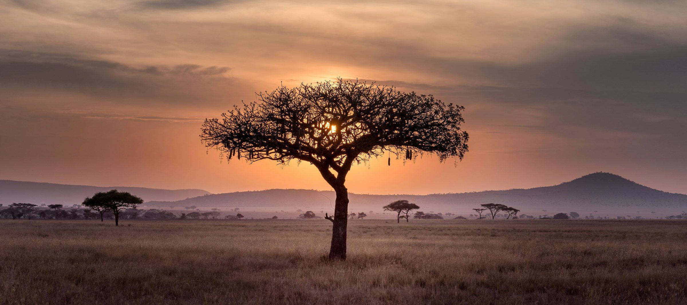 rondreis-tanzania-Serengeti-safari