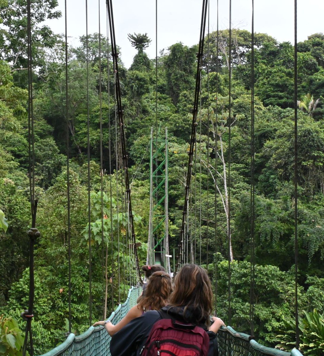 Rondreis-Costa-Rica-Sarapiqui-hangbrug-met-mensen