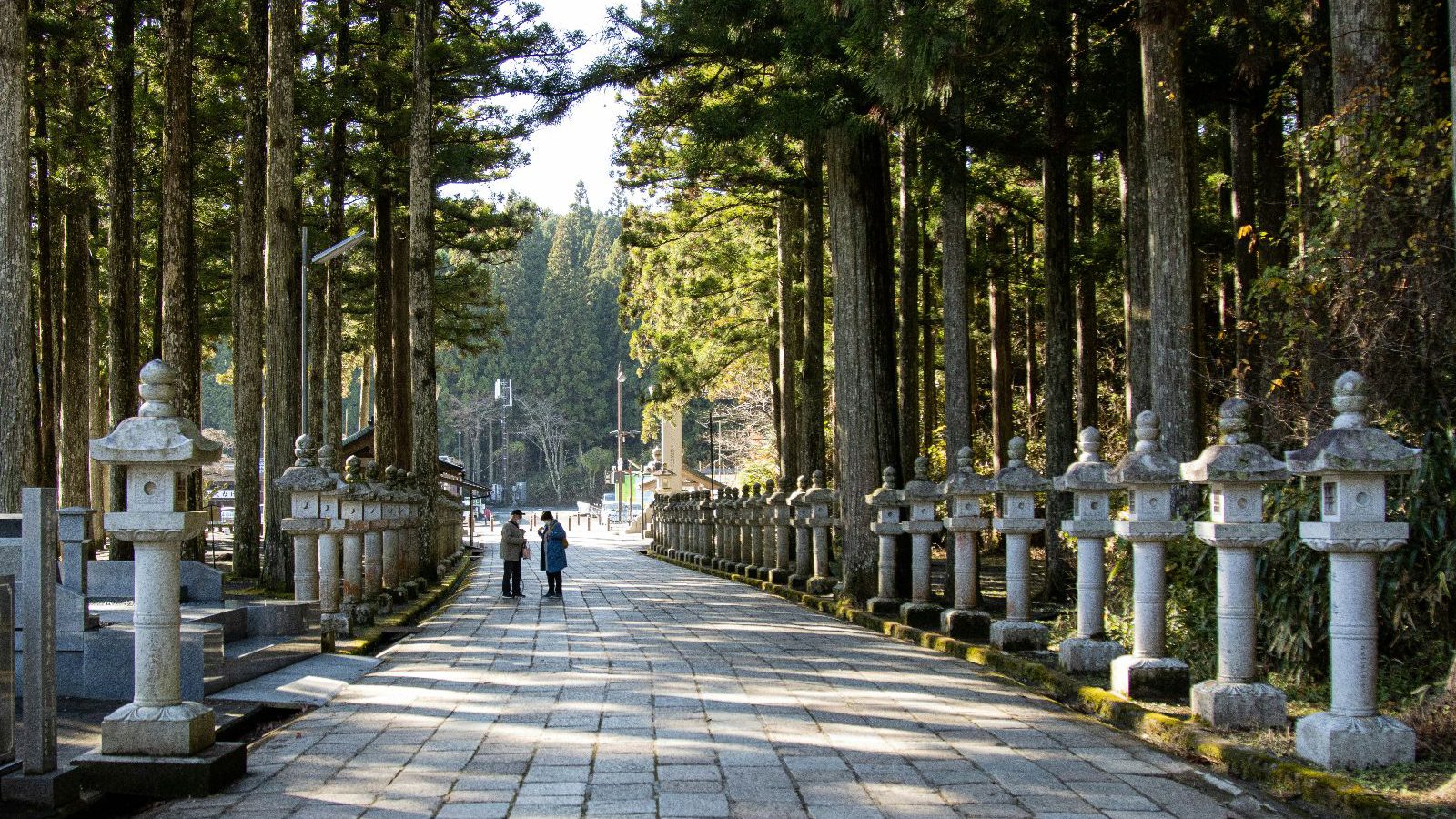Rondreis Japan, Koyasan, excursie avondtour door Okunoin Cemetry, wandelpad door cemetery