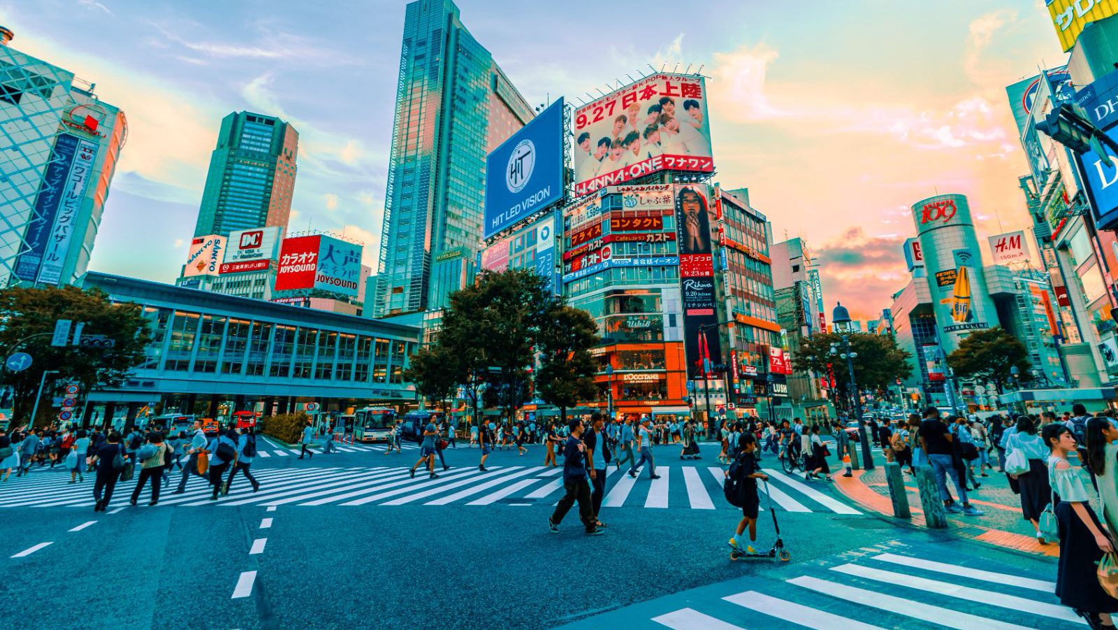 Rondreis Japan - Tokio Tokyo