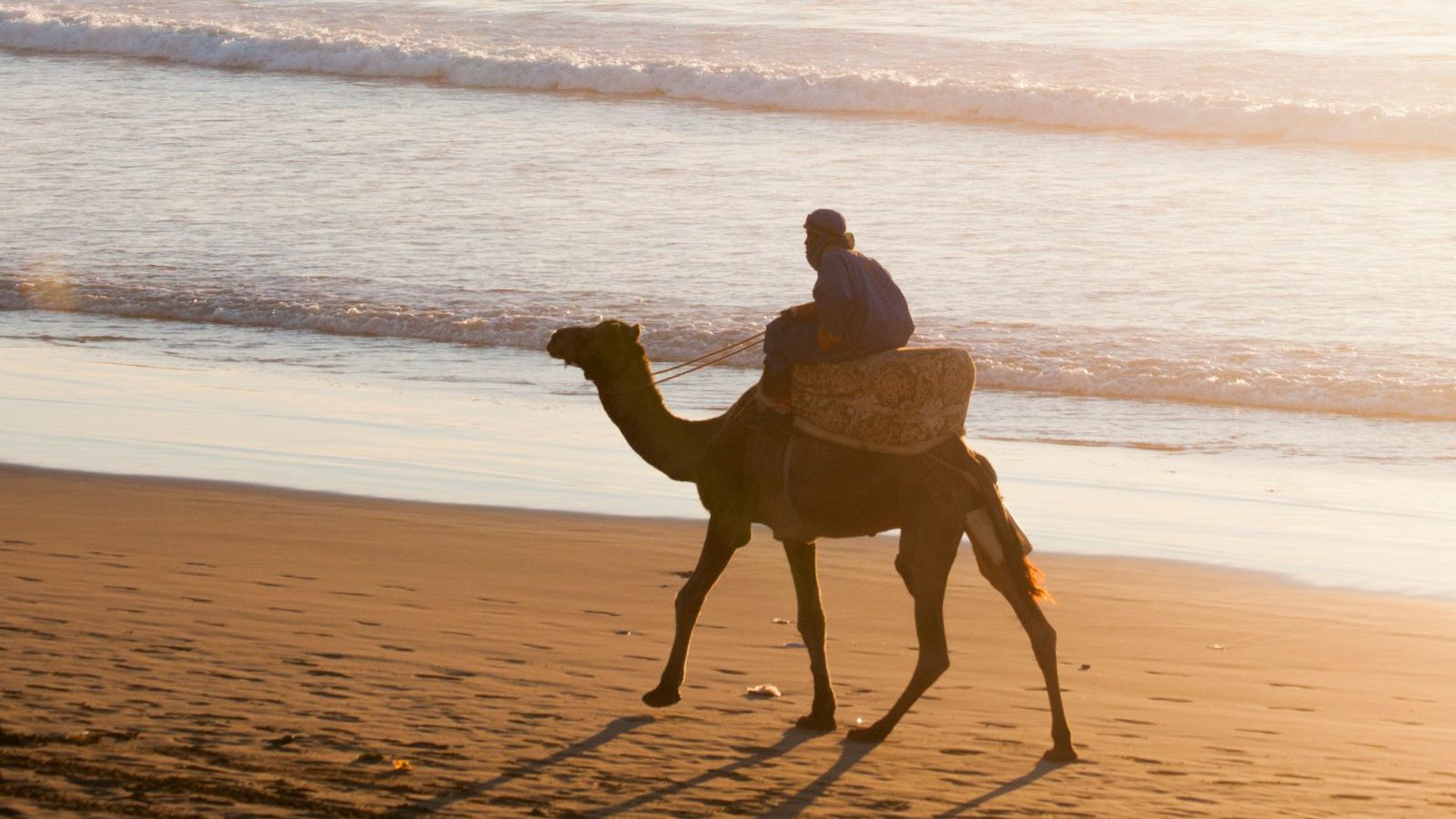 Rondreis Marokko, Agadir, kameel op het strand
