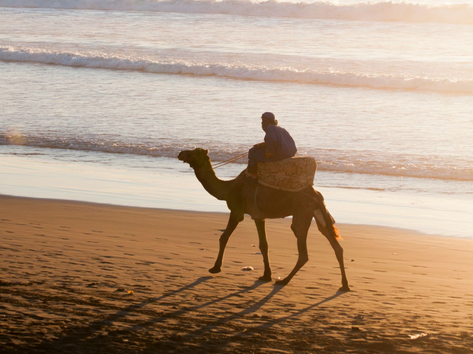 Rondreis Marokko, Agadir, kameel op het strand