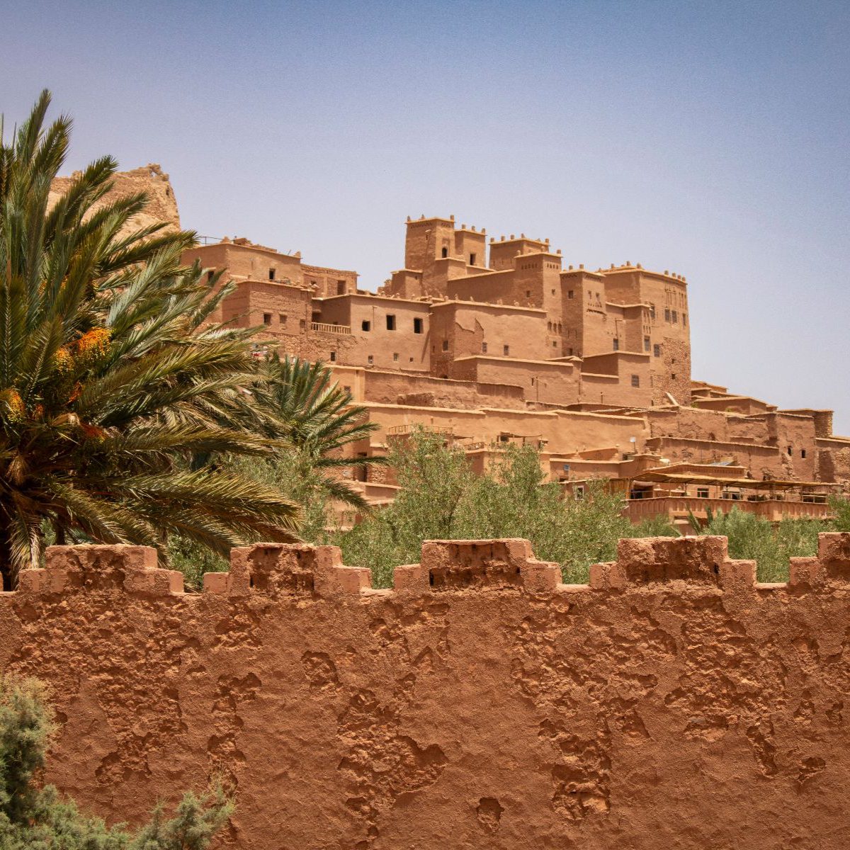 Rondreis-Marokko-Ait-Ben-Haddou-stad-van-dichtbij met palmboom