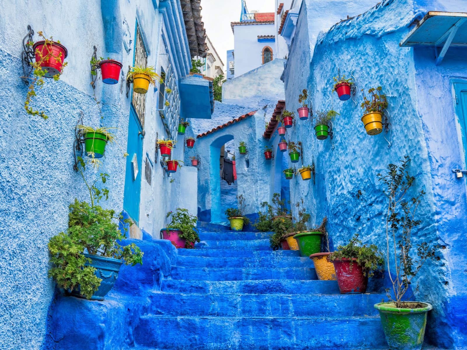 Rondreis Marokko, Chefchaouen, Excursie Chefchaouen en diner, Blauwe steeg met trap en kleurrijke bloempotten