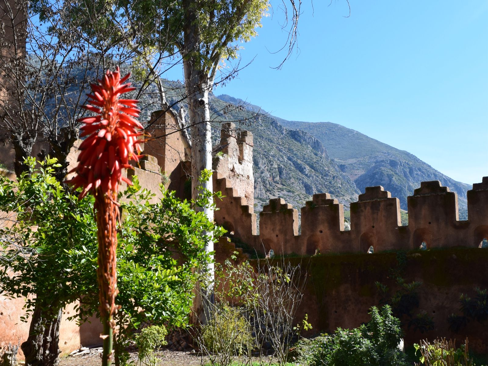 Rondreis Marokko, Chefchaouen, Excursie Chefchaouen en diner, kasteelmuur