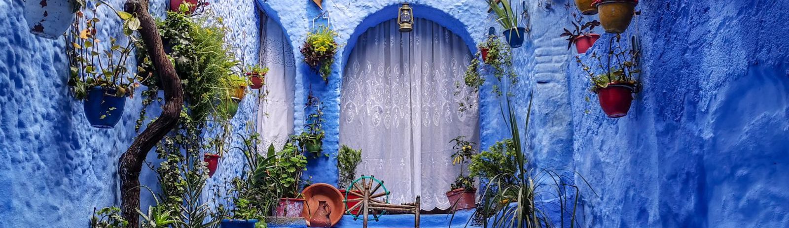 Rondreis Marokko, Chefchaouen, blauwe deur met planten