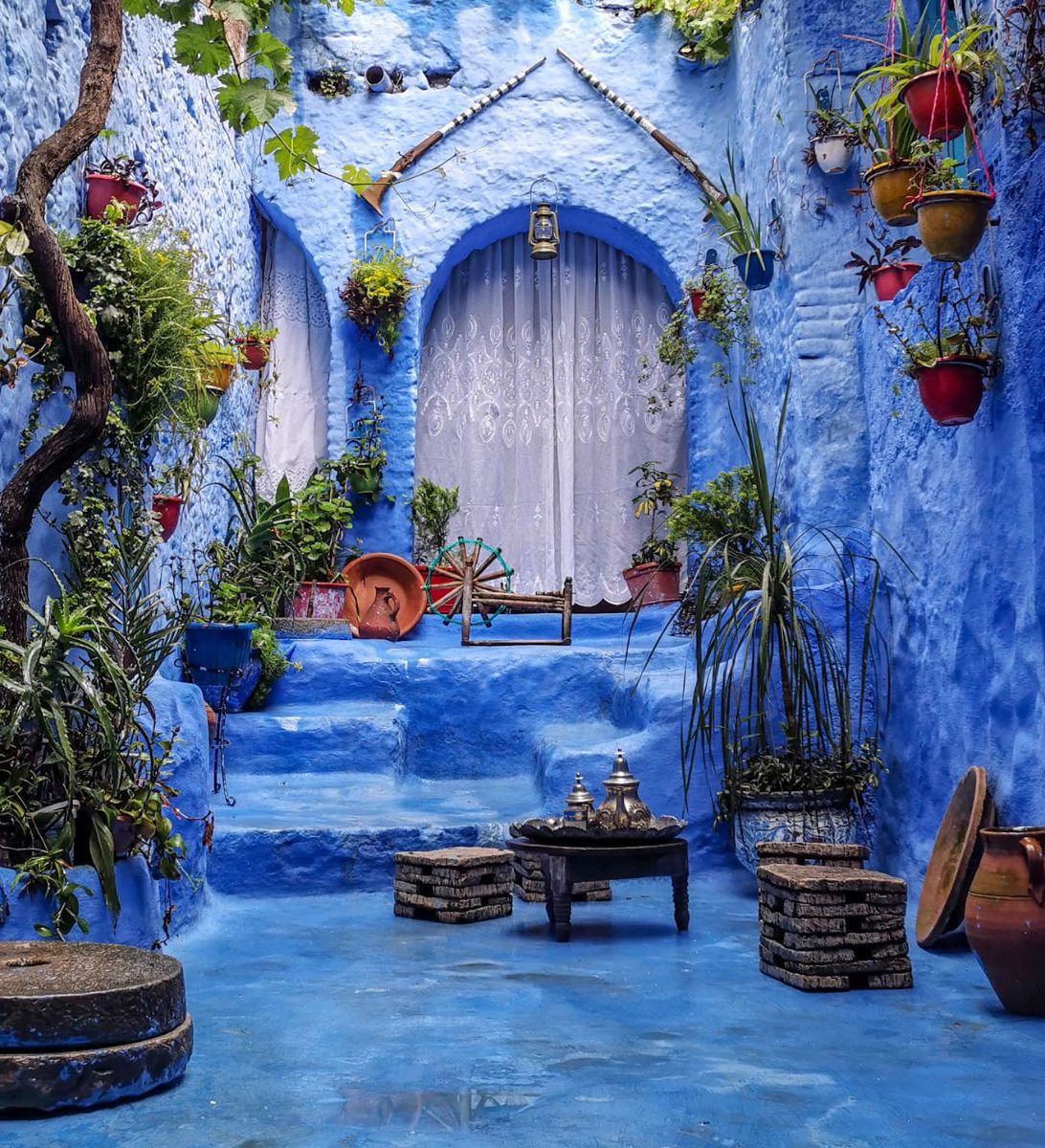Rondreis-Marokko-Chefchaouen-blauwe-deur-met-planten-aspect-ratio-382-420