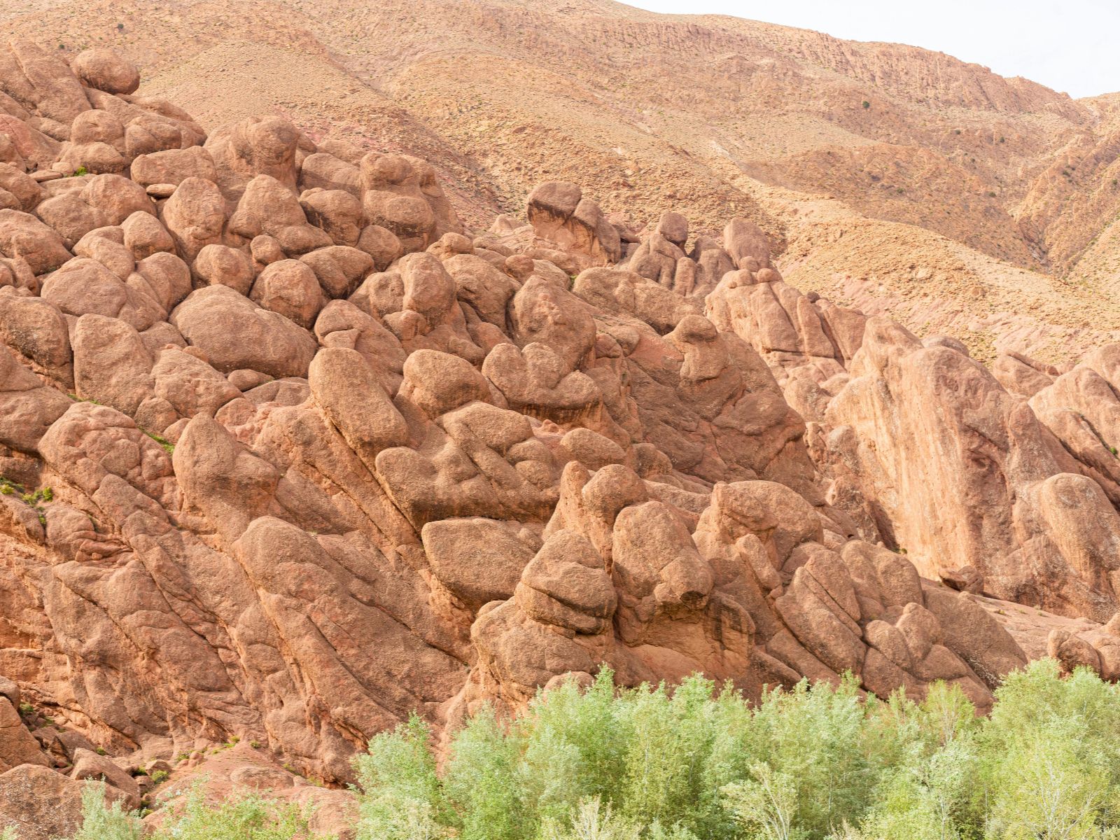 Rondreis Marokko, Dades Vallei, Excursie Canyon Hike, Rotspieken