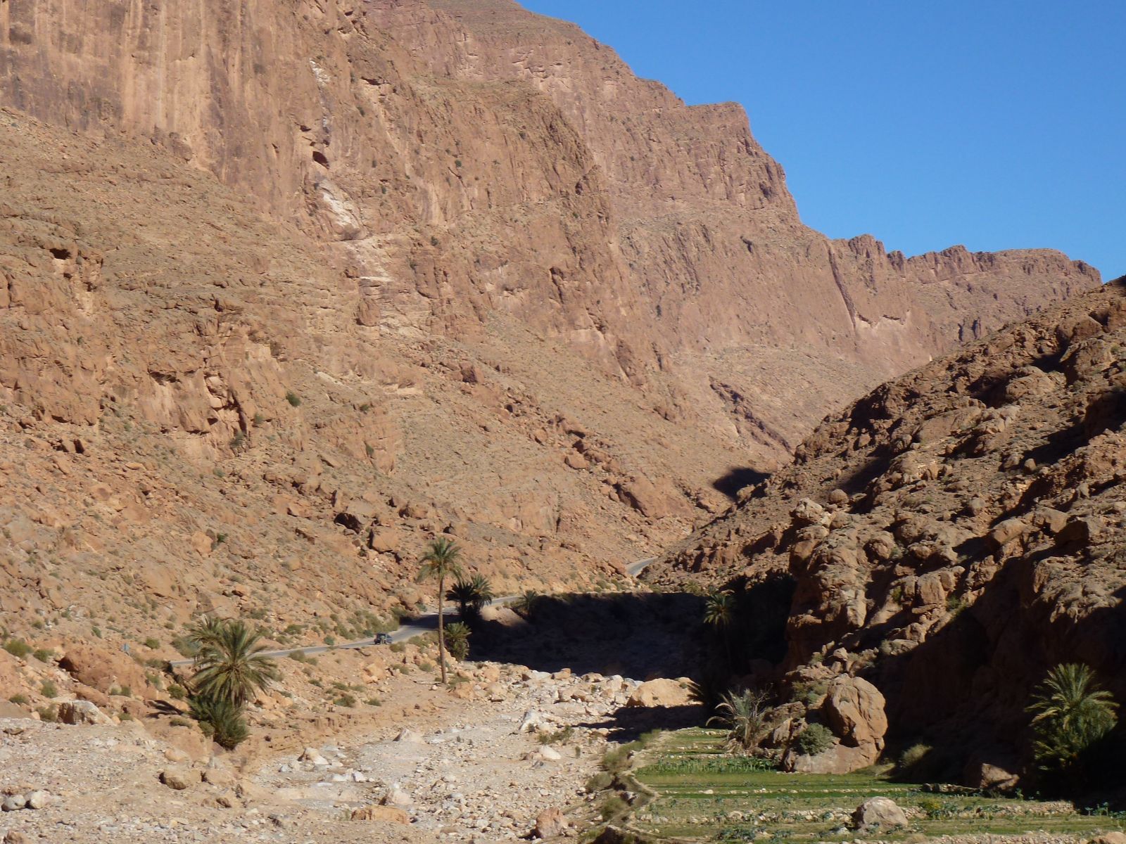 Rondreis Marokko, Dades Vallei, excursie canyon hike, rotsen met wat begroening
