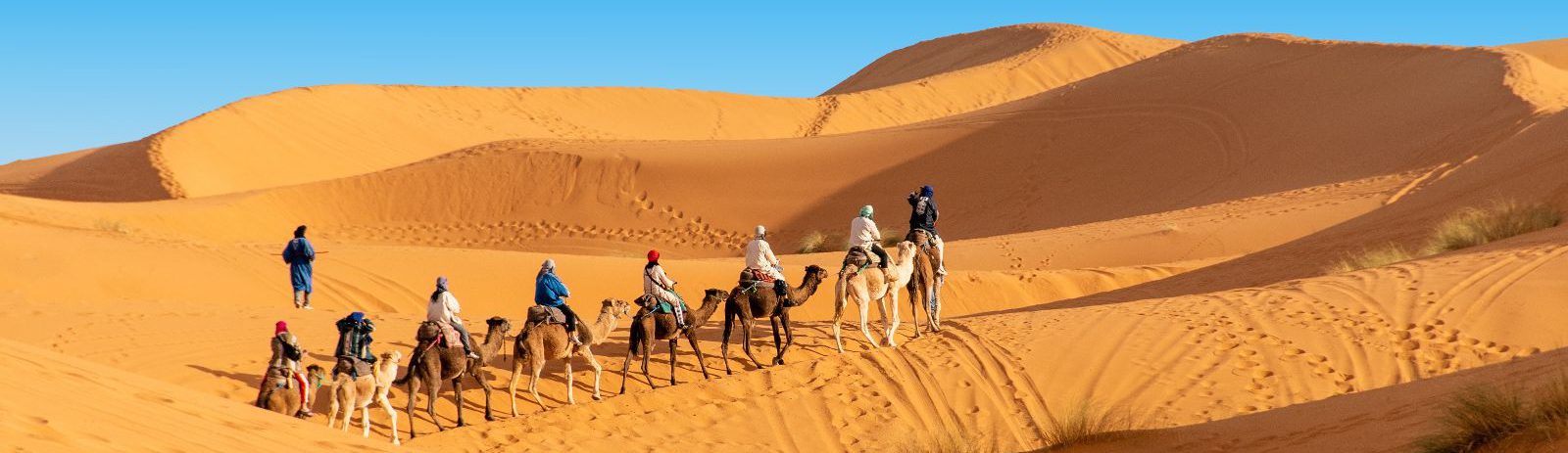 Rondreis-Marokko-Erg-Chebbi-groep-mensen-op-kamelen