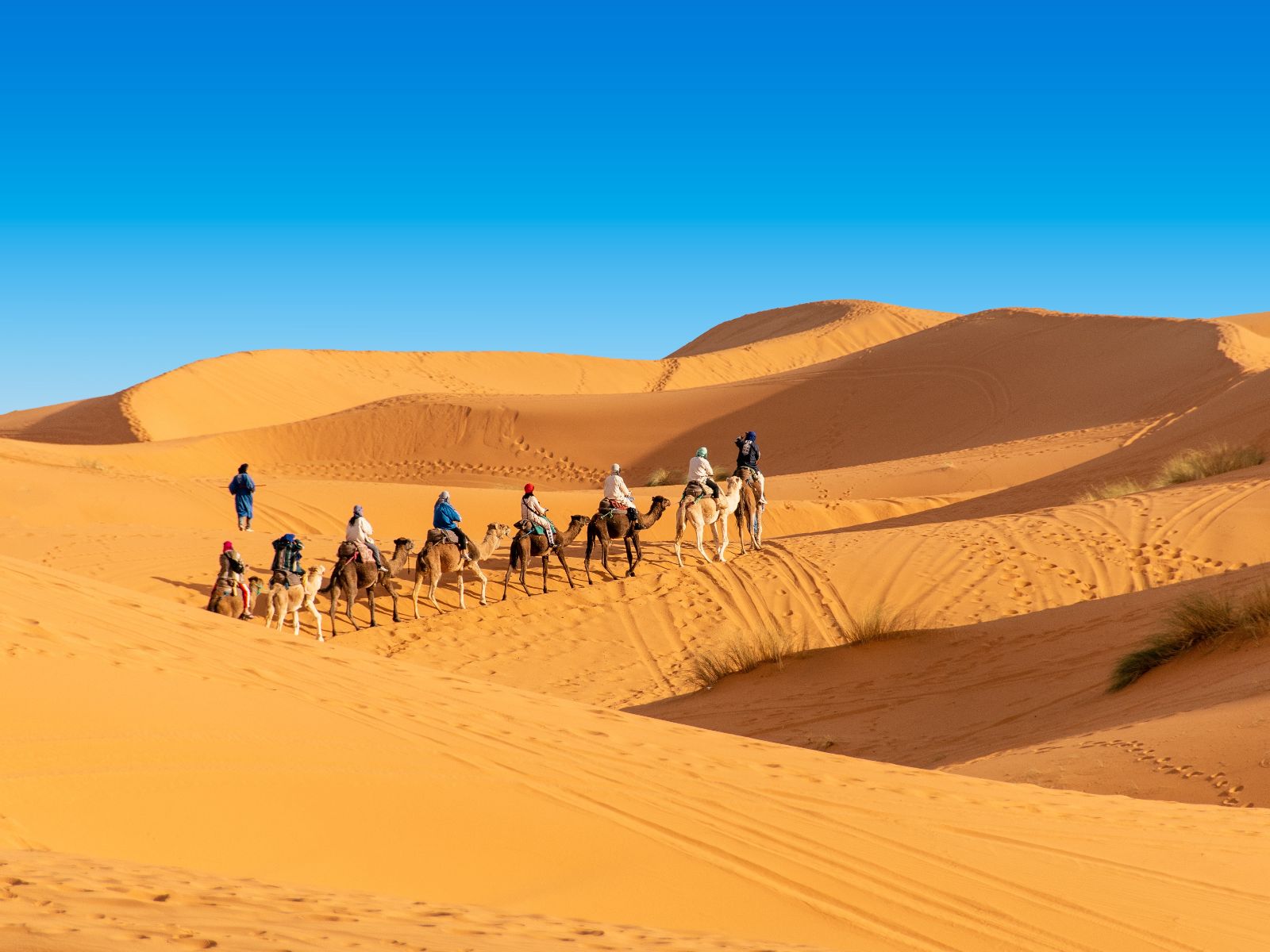 Rondreis Marokko, Erg Chebbi, groep mensen op kamelen