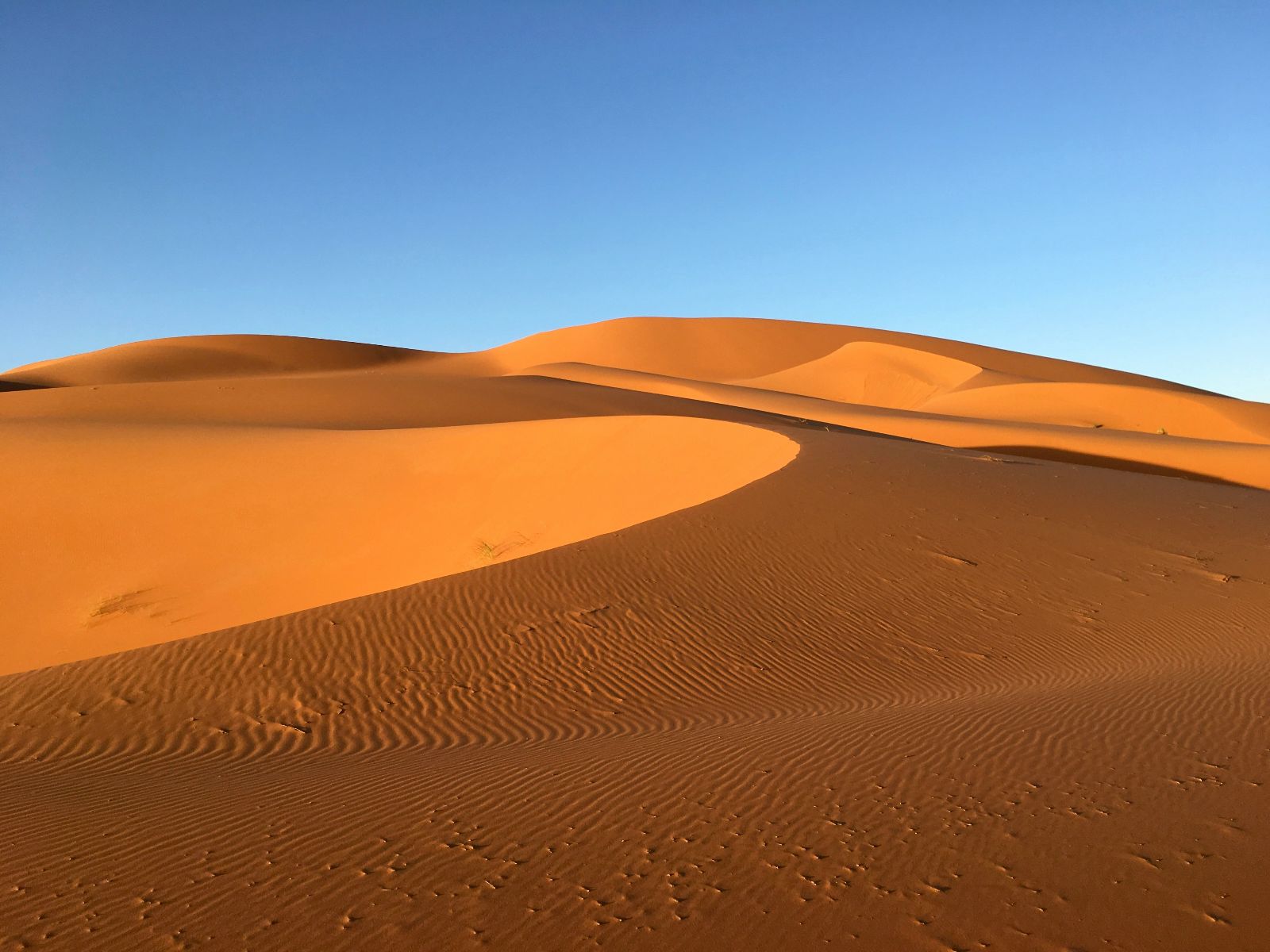 Rondreis Marokko, Erg Chebbi, woestijn