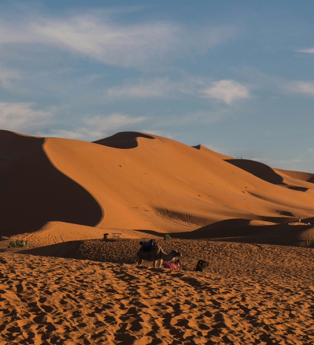 Rondreis Marokko, Erg Chebbi, zandduinen