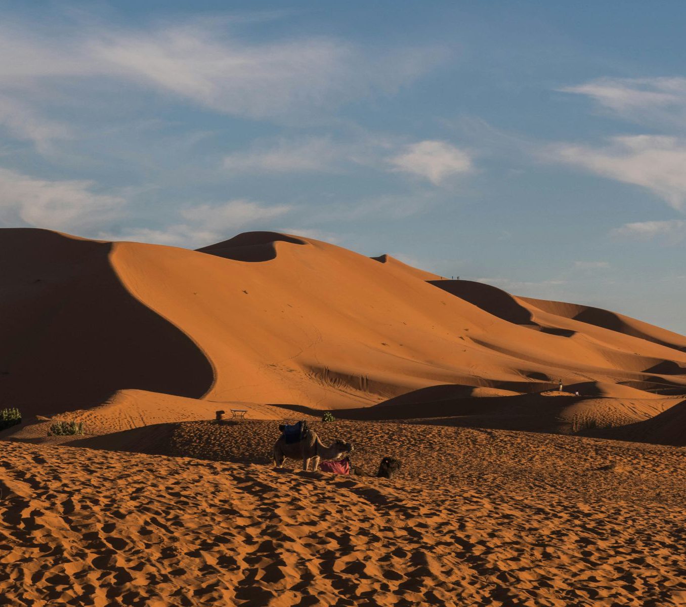 Rondreis Marokko, Erg Chebbi, zandduinen