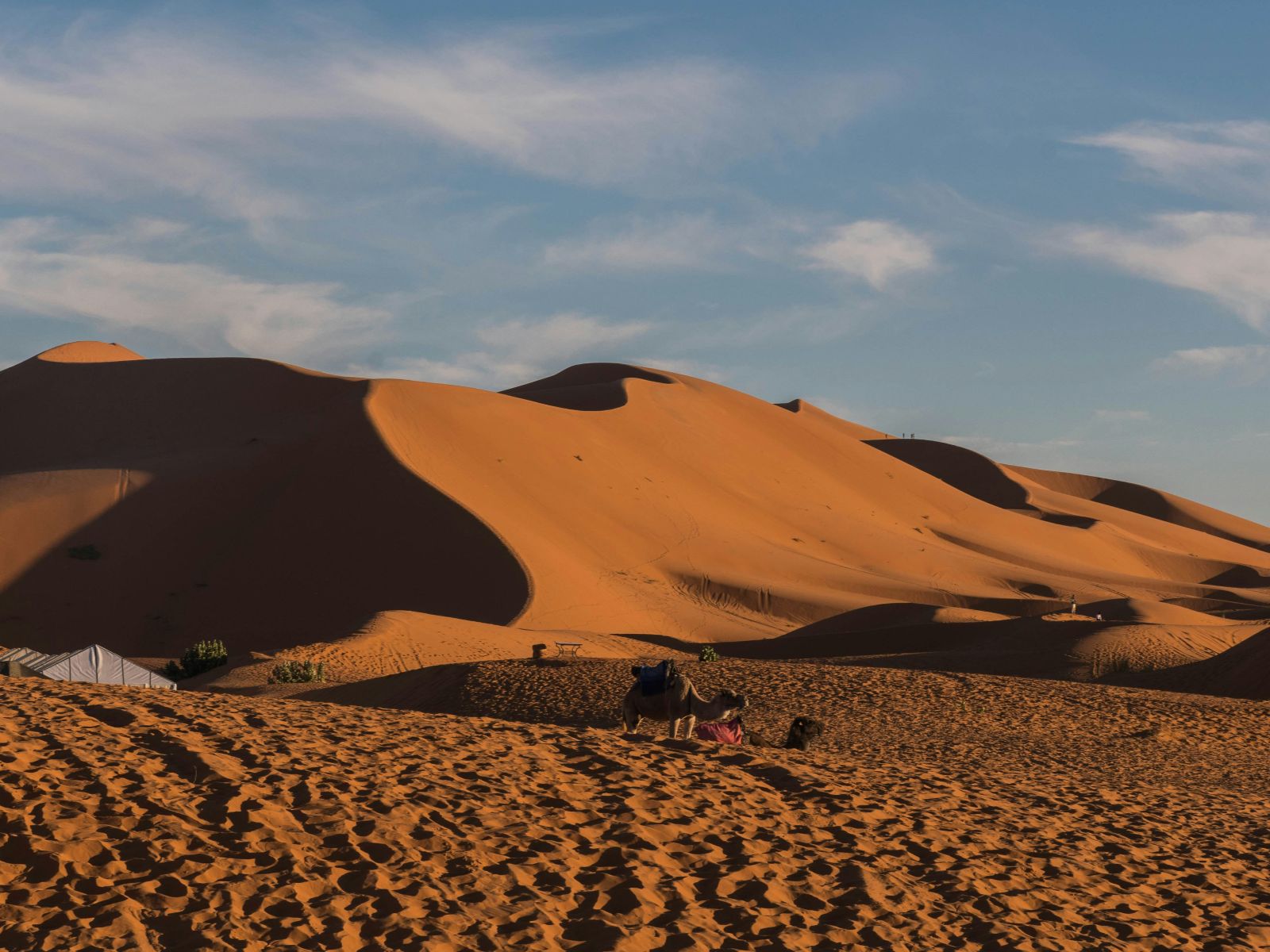 Rondreis Marokko, Erg Chebbi, zandduinen