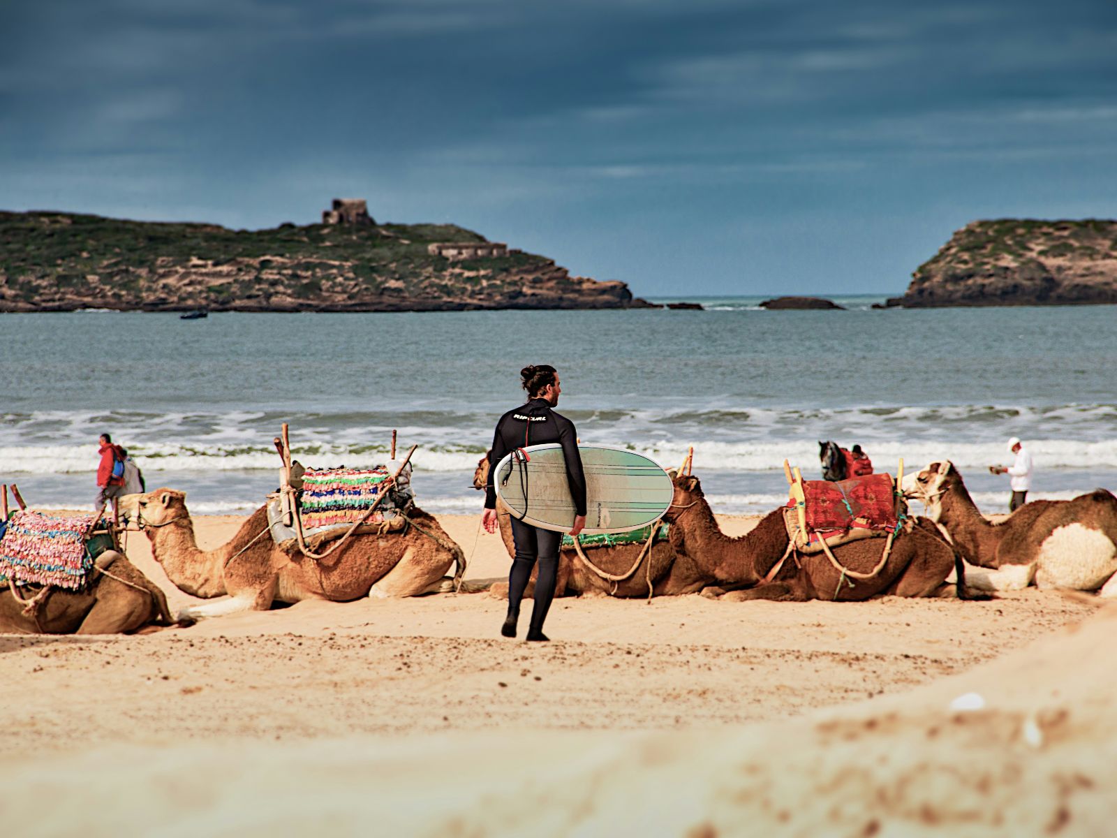 Rondreis Marokko, Essaouira, Excursie Surfen, Surfer op strand met kamelen