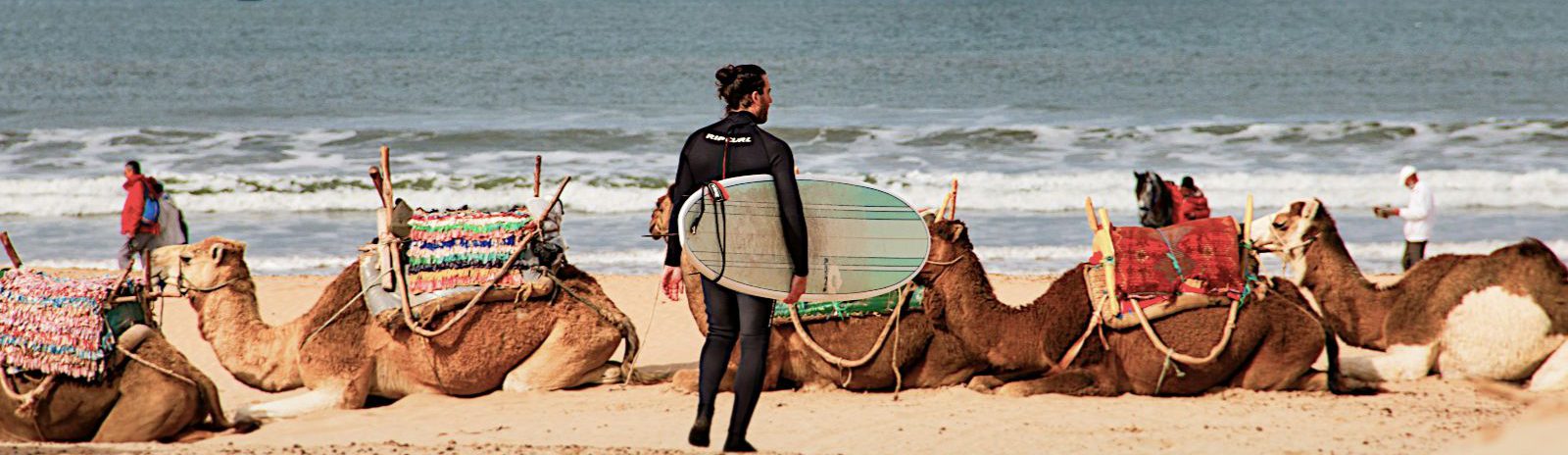Rondreis Marokko, Essaouira, surfer en kamelen op het strand