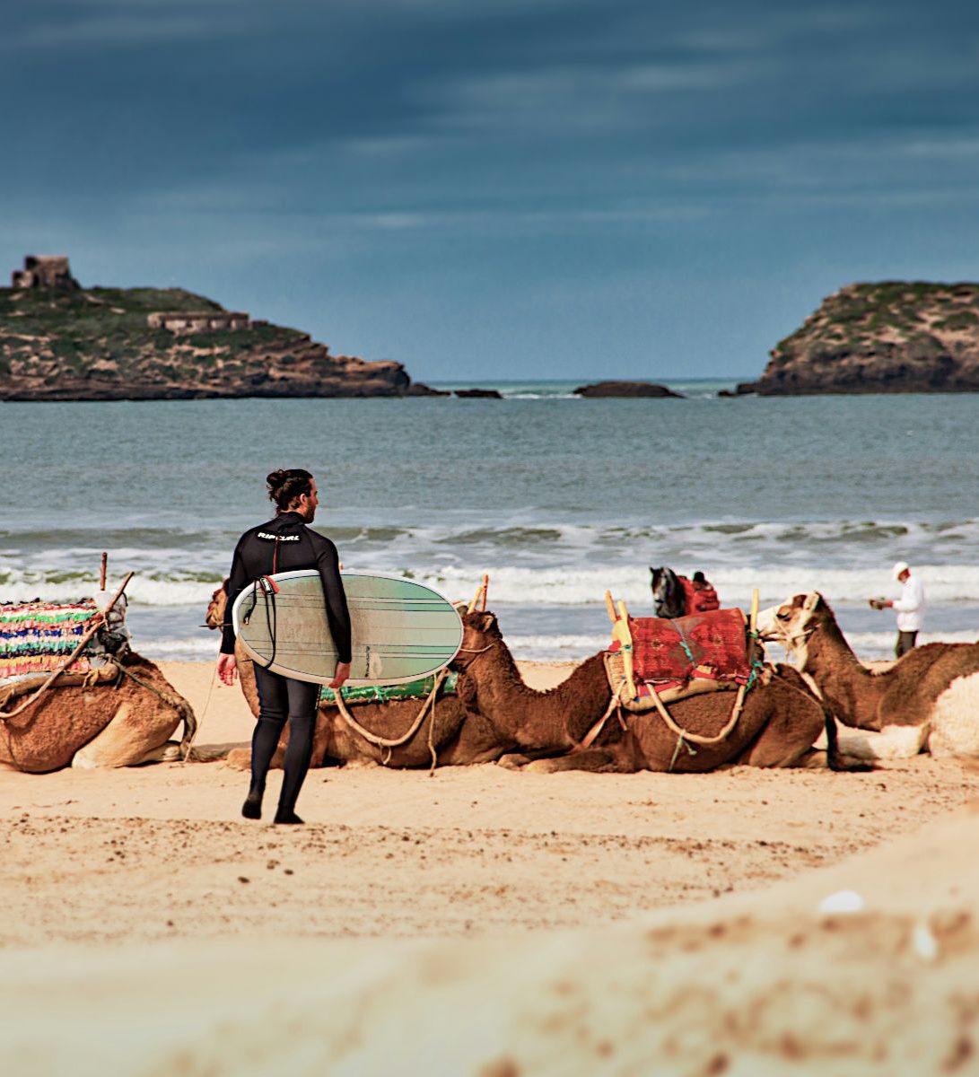 Rondreis Marokko, Essaouira, surfer en kamelen op het strand