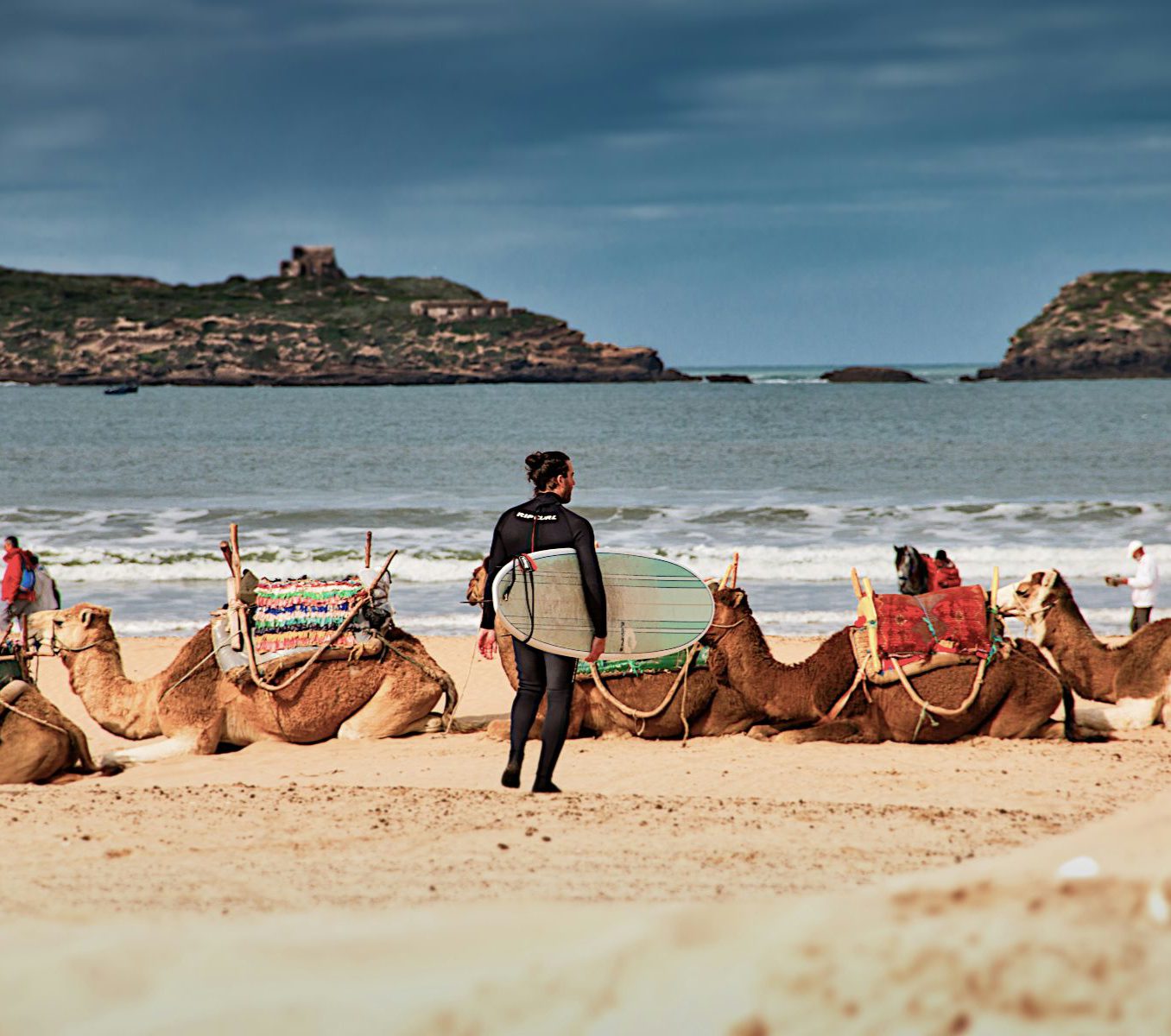 Rondreis Marokko, Essaouira, surfer en kamelen op het strand