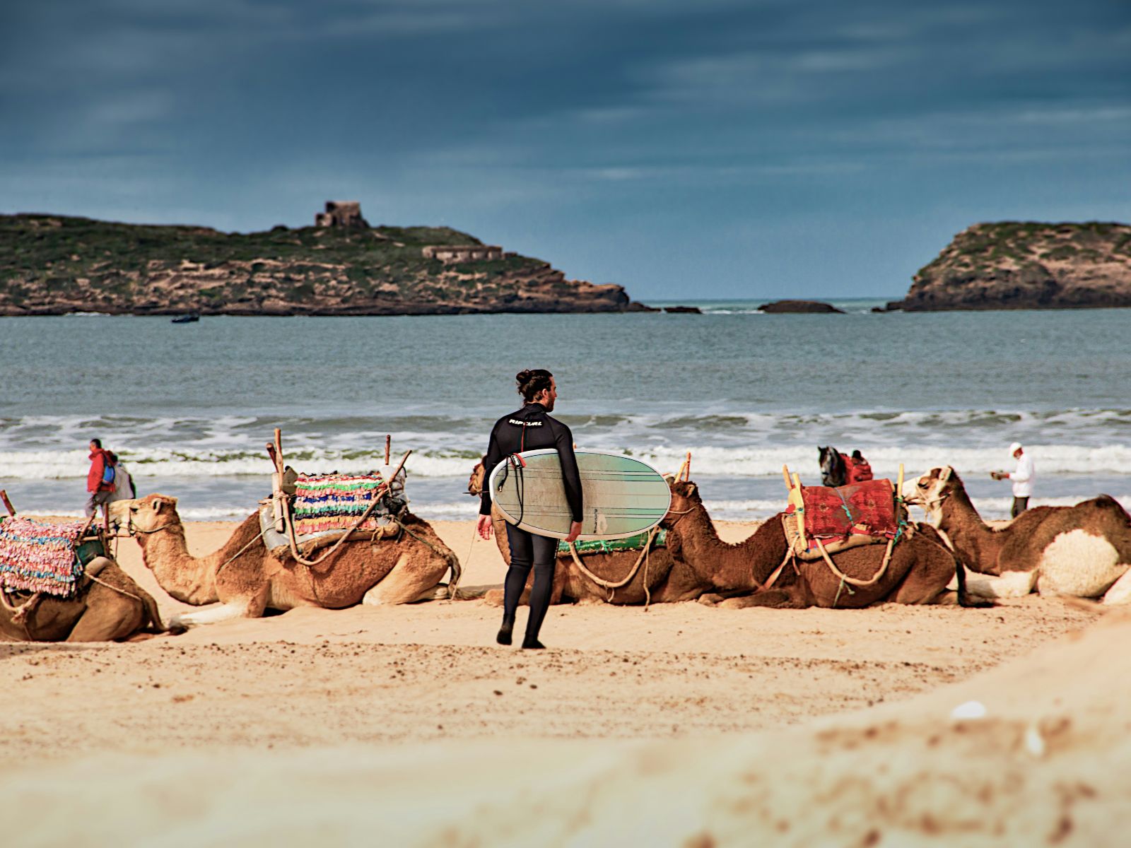 Rondreis Marokko, Essaouira, surfer en kamelen op het strand