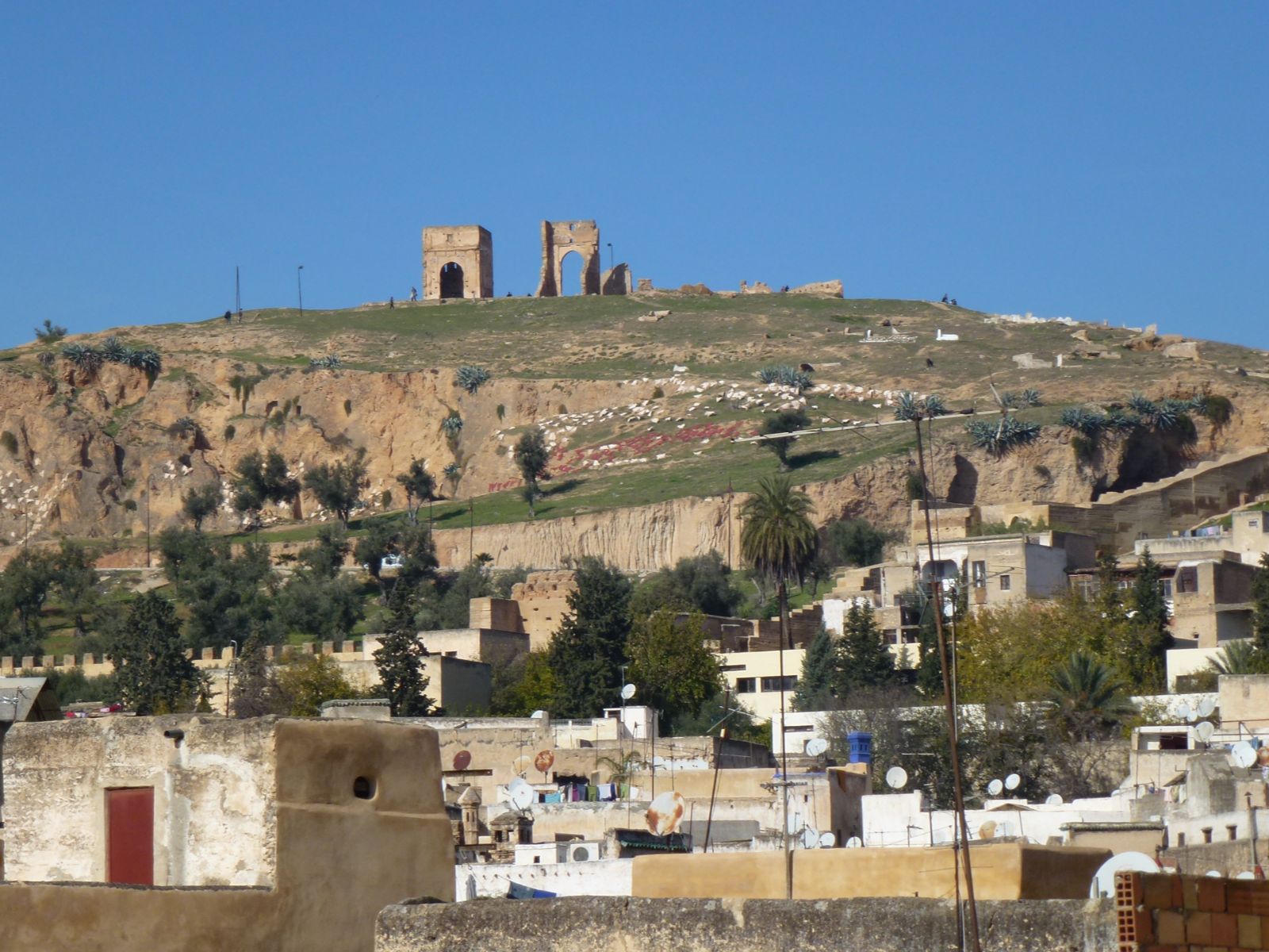 Rondreis Marokko, Fez, Fez stad